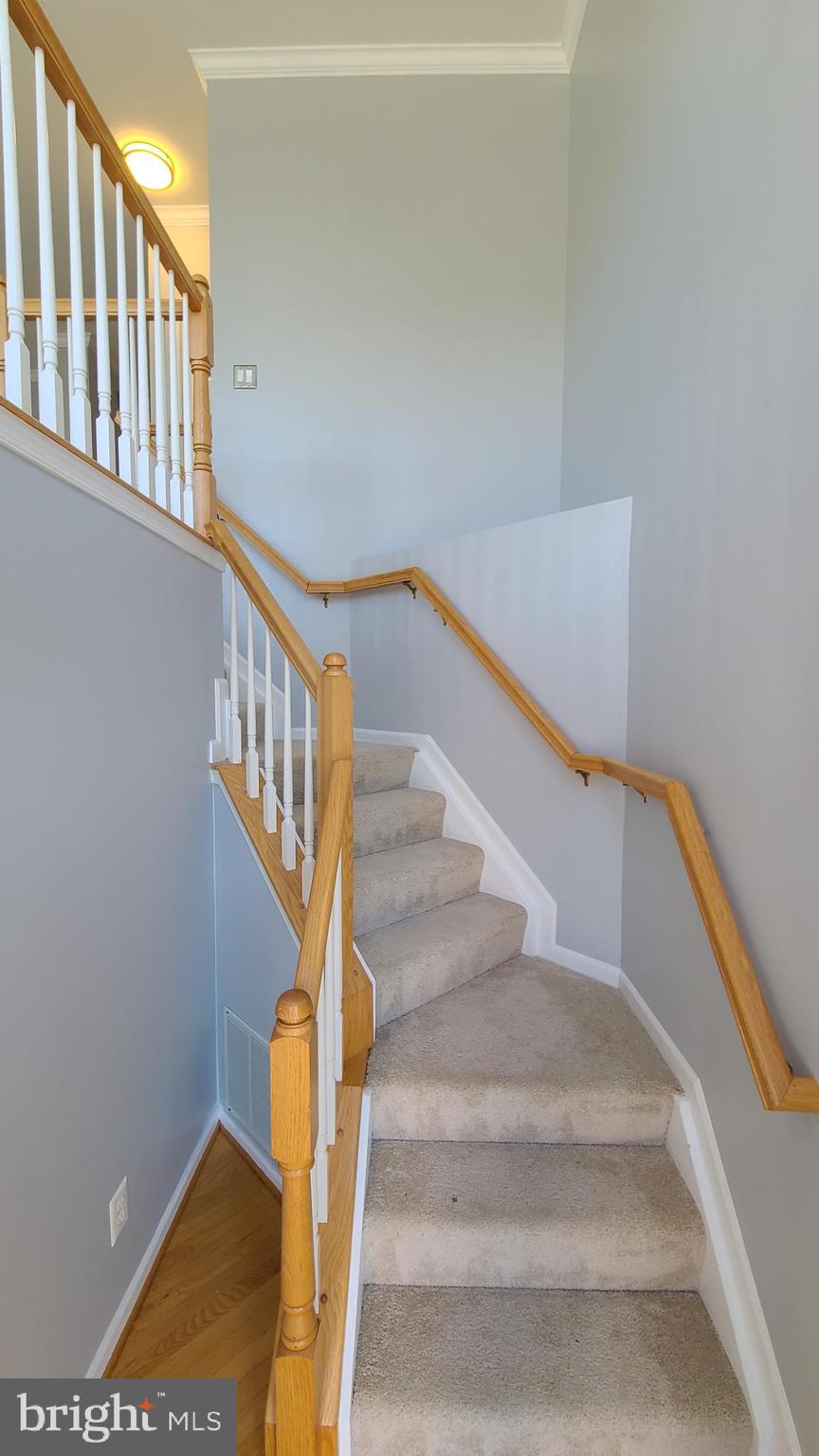 GREAT FALLS CHASE - Residential Lease