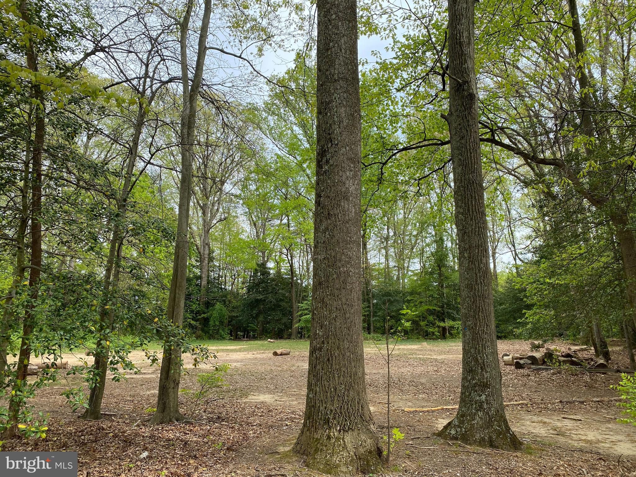 NEWINGTON COMMONS - Residential