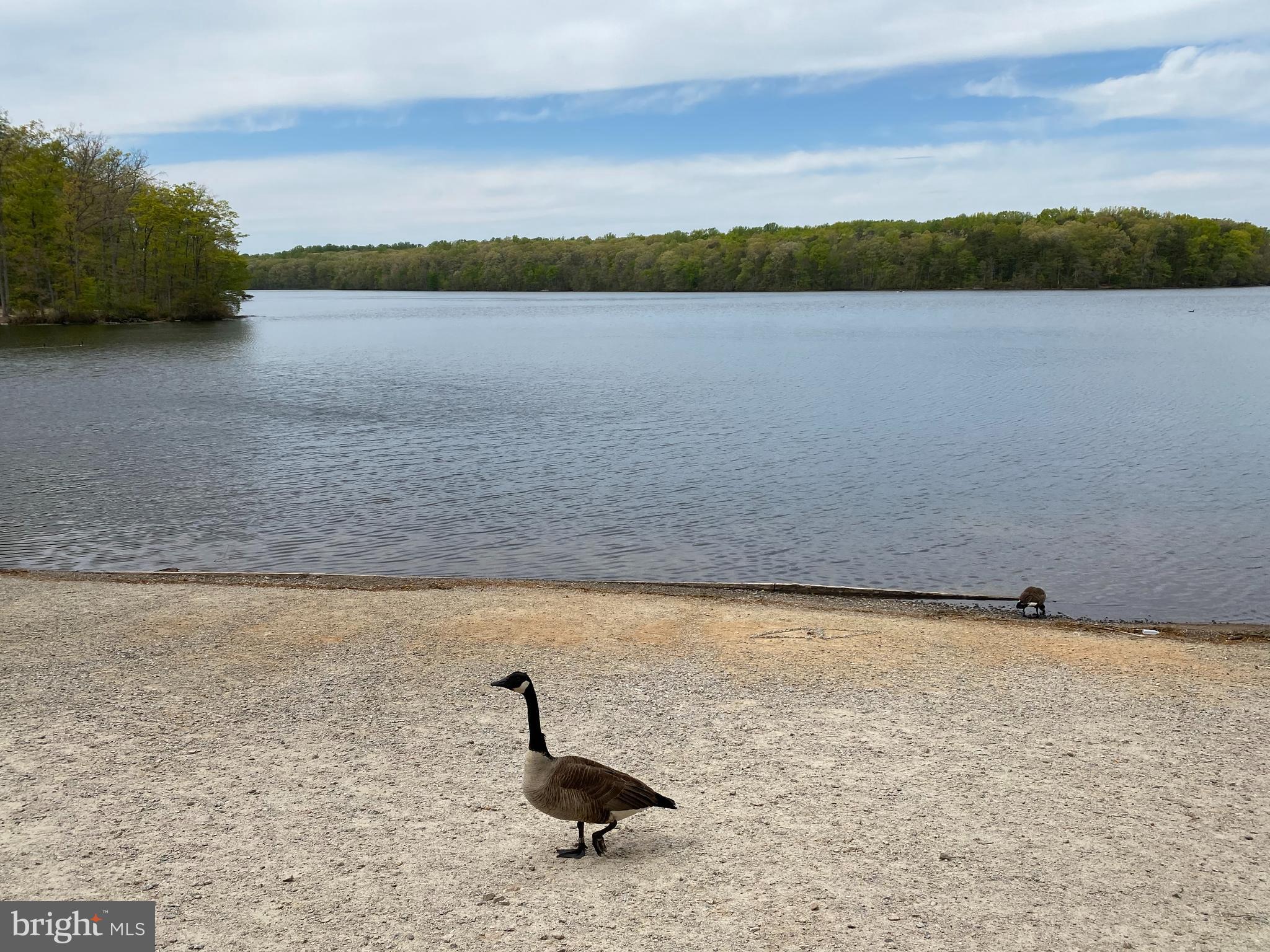 NEWINGTON COMMONS - Residential