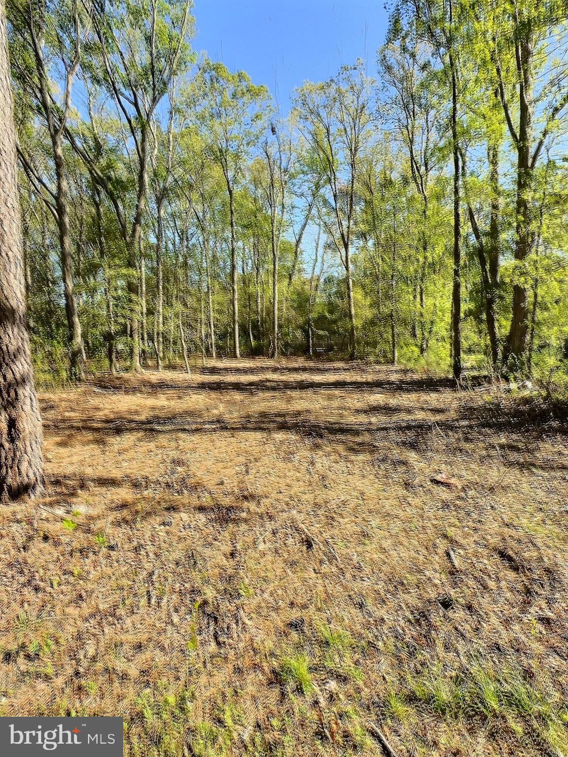 0 SHADY DELL PARK / BIRCH