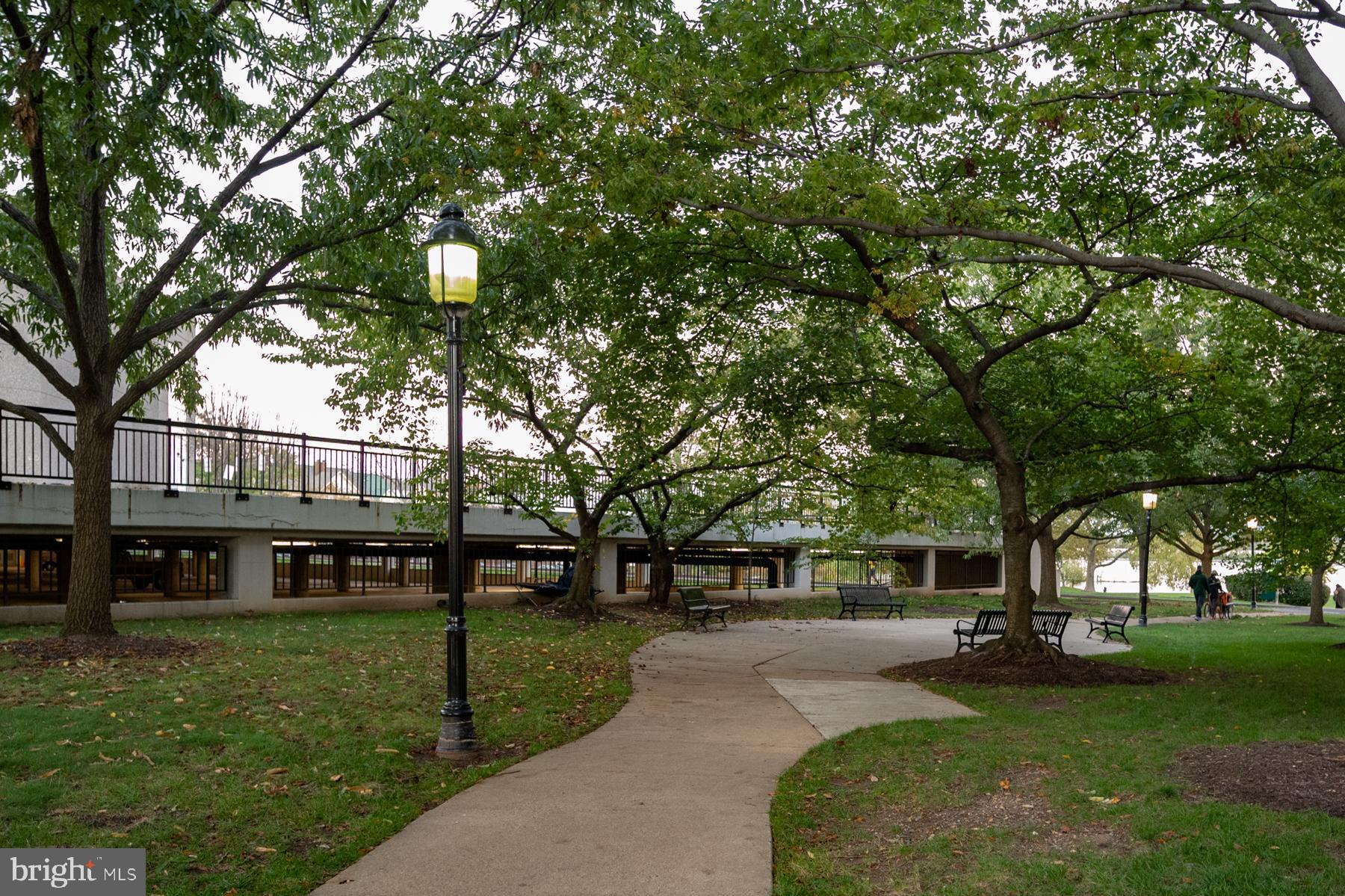 THE ORONOCO - Residential