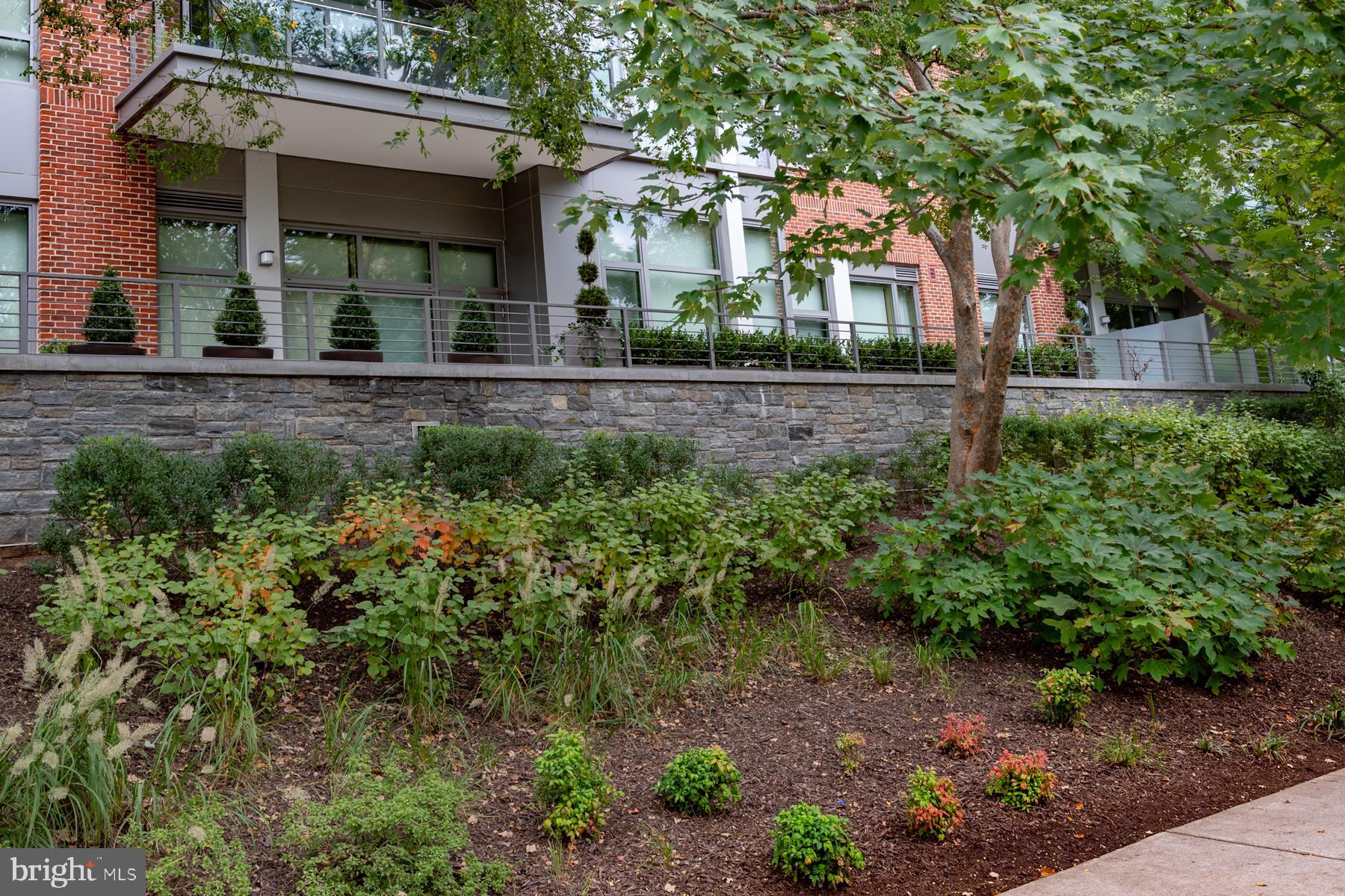 THE ORONOCO - Residential