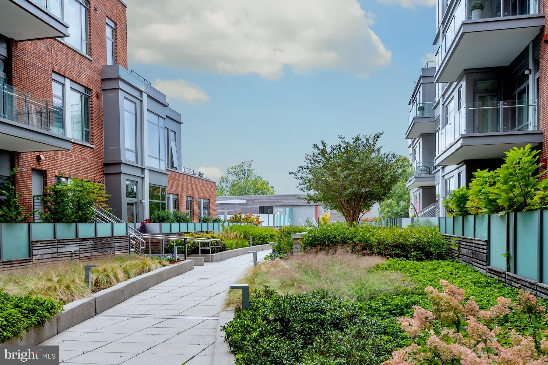 THE ORONOCO - Residential