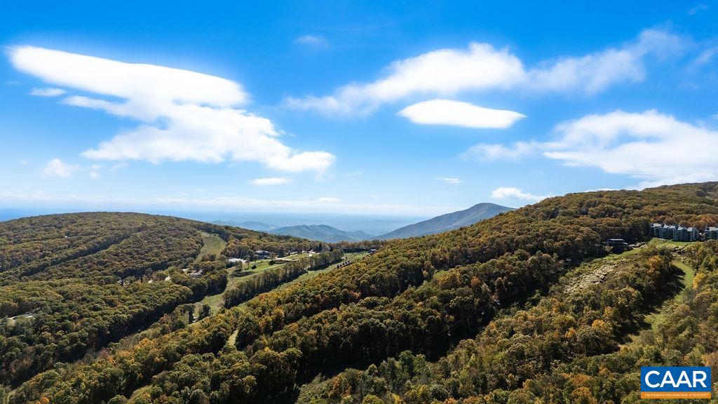 WINTERGREEN RESORT - Residential