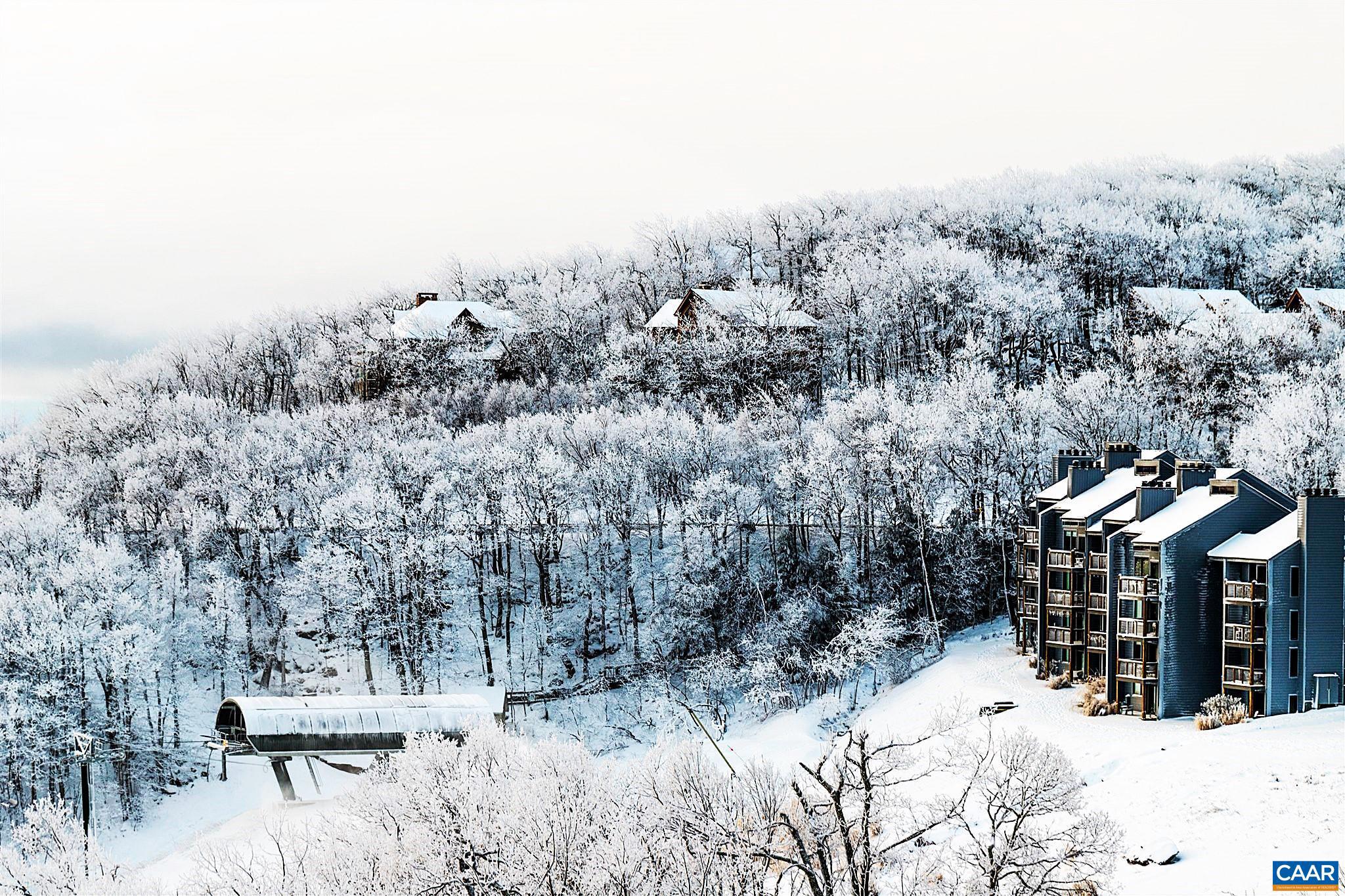 WINTERGREEN RESORT - Residential