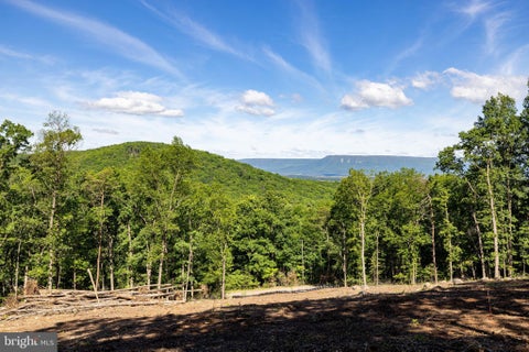Vacant Land For Sale - Cross Mountain Road<br/> LURAY, VA 22835