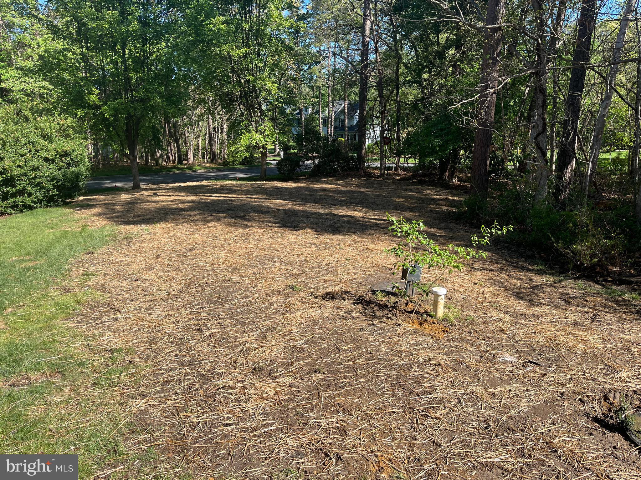 2 TEABERRY COURT