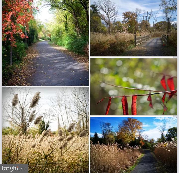 POTOMAC GREENS - Residential Lease