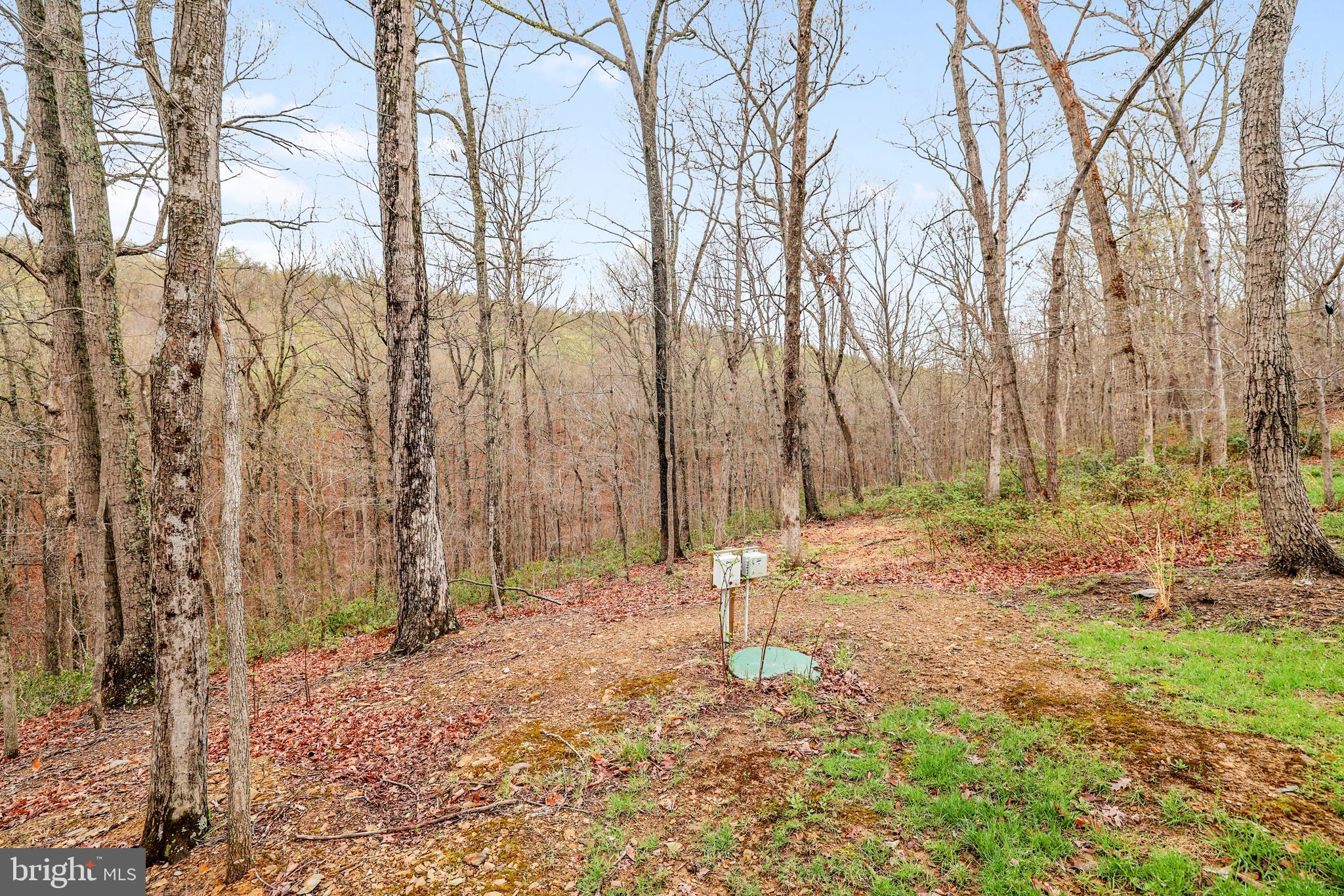 SHEN FARMS MT LAKE - Residential