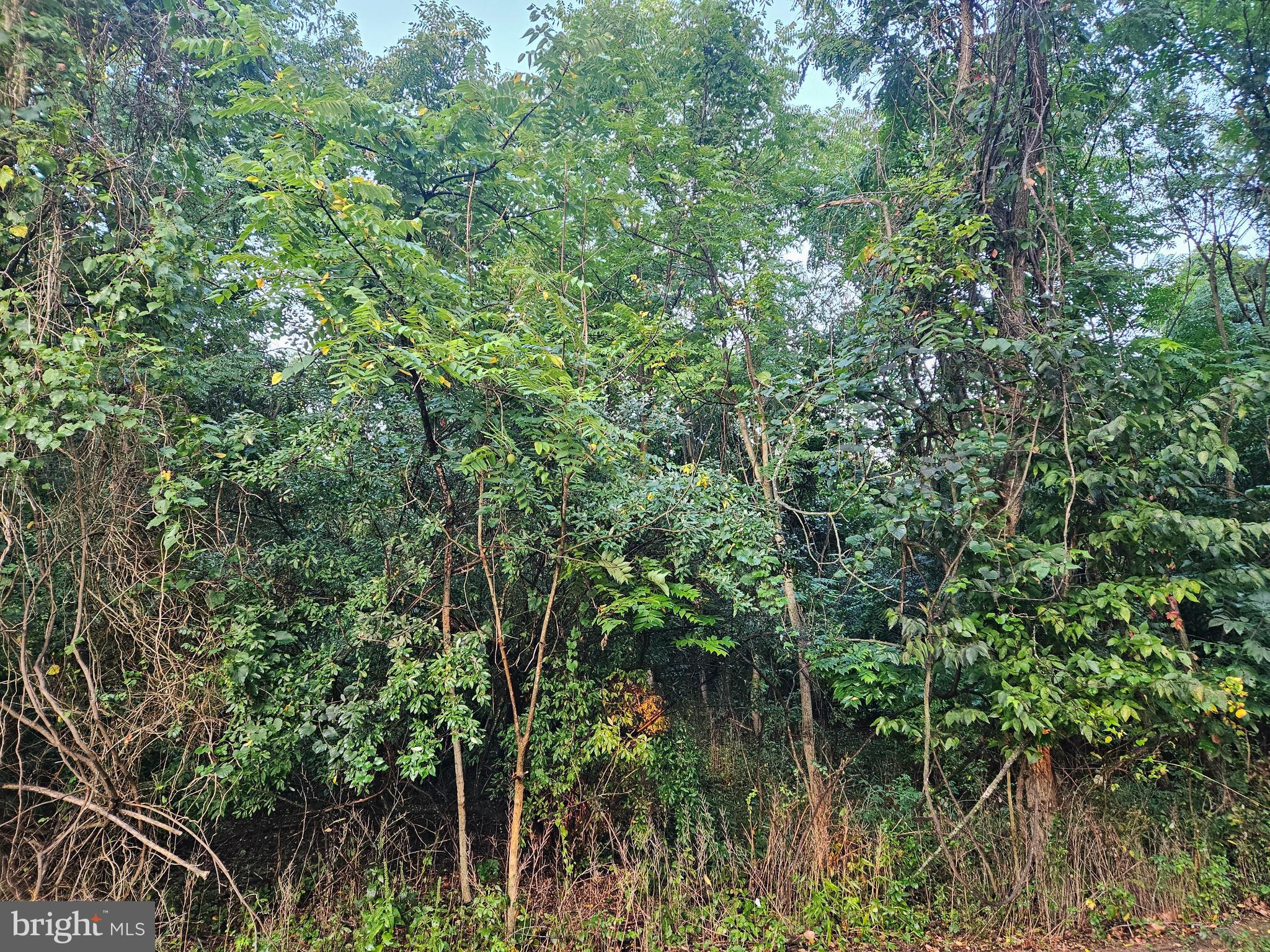 VALLEY HIGH TIMBER FARMS - Land