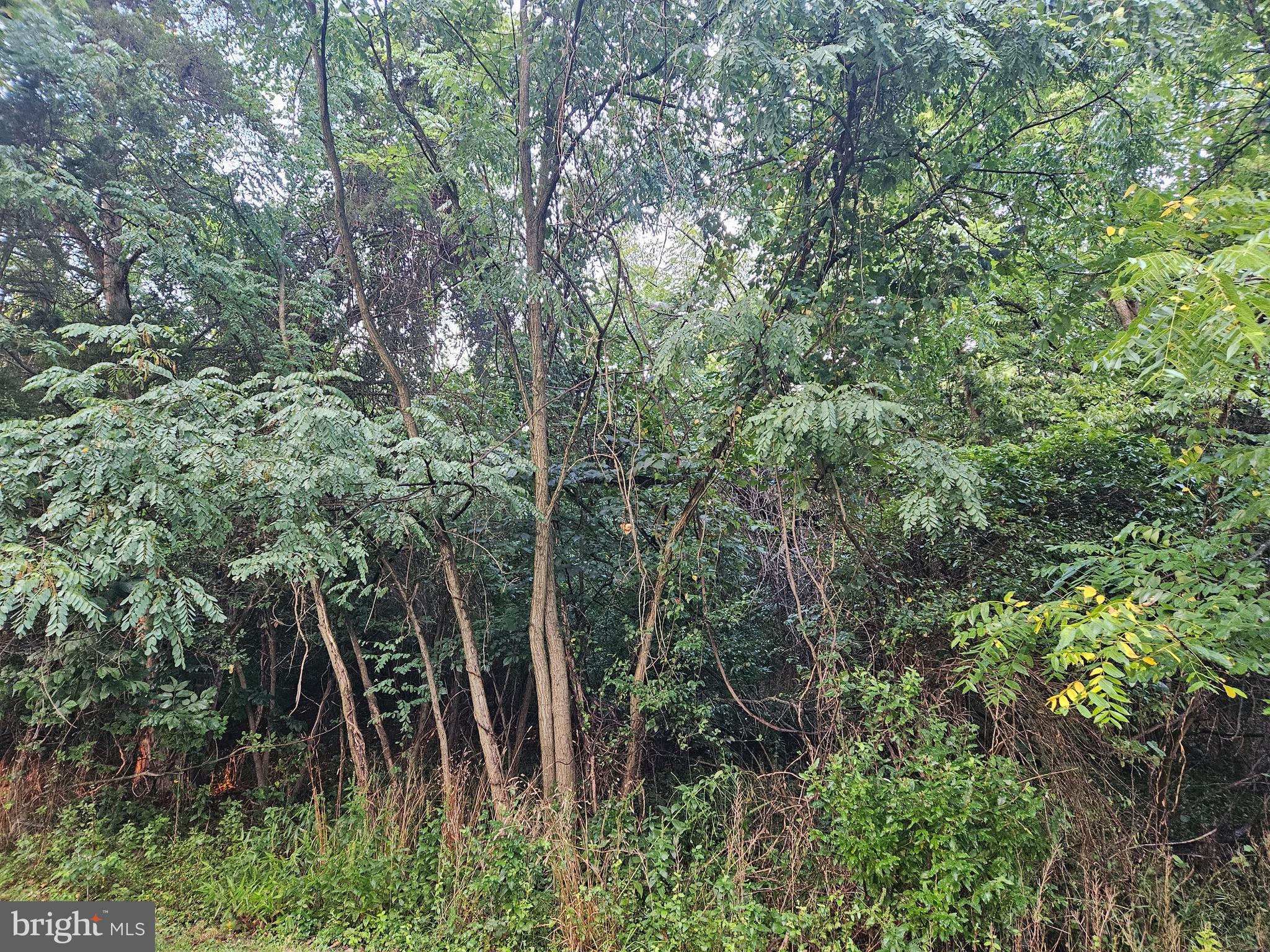 Secluded unrestricted land - come build your weekend get away or permanent year round residency. Lot is 5.29 acres.