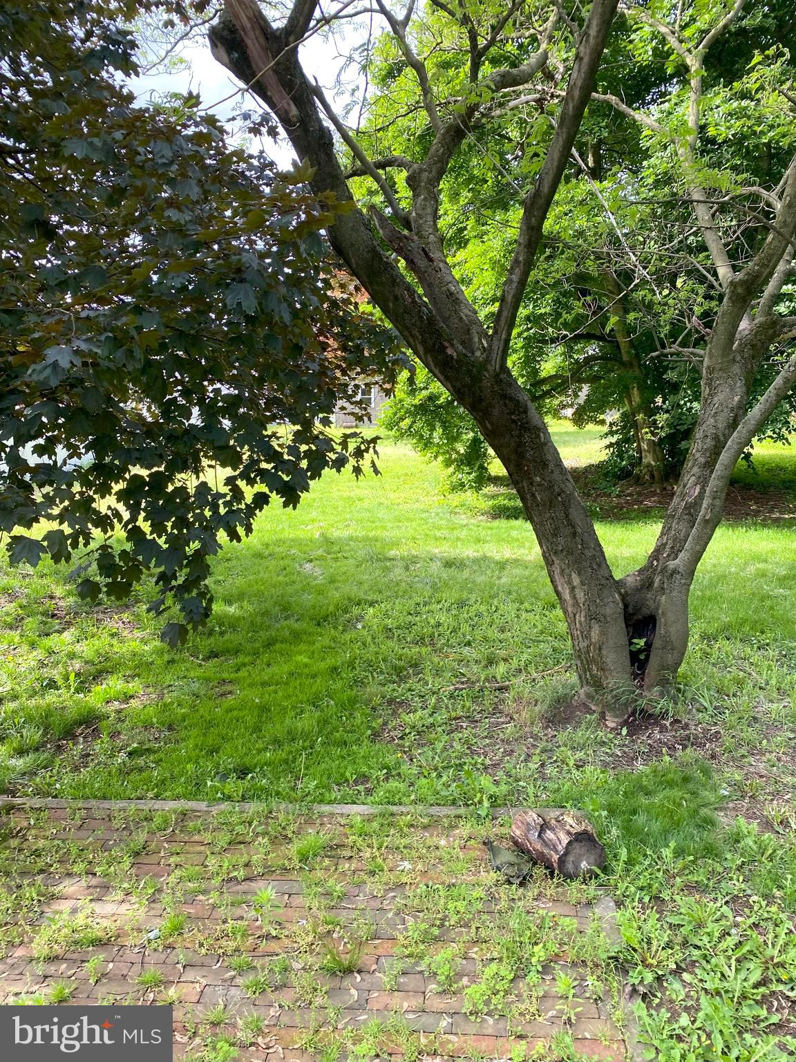 DAUPHIN - Residential Lease