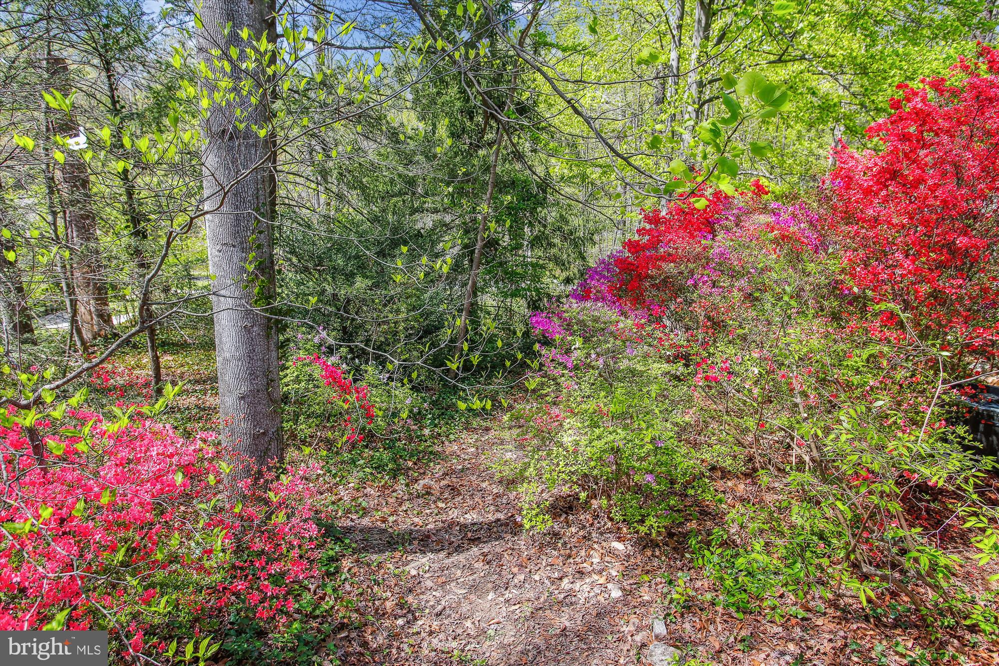 RICH E LAND - Residential