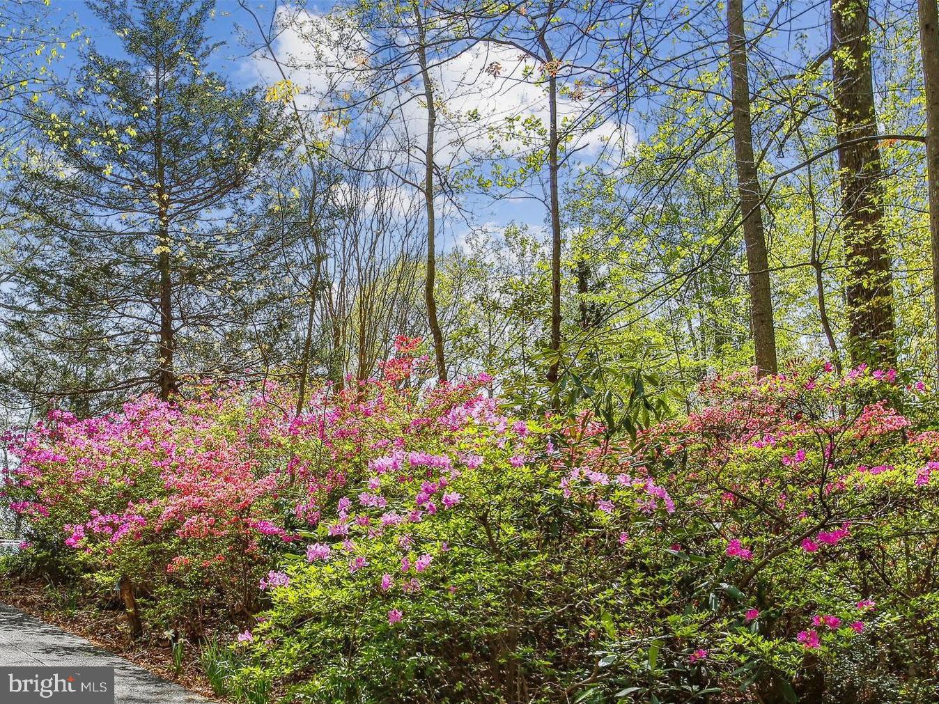 RICH E LAND - Residential