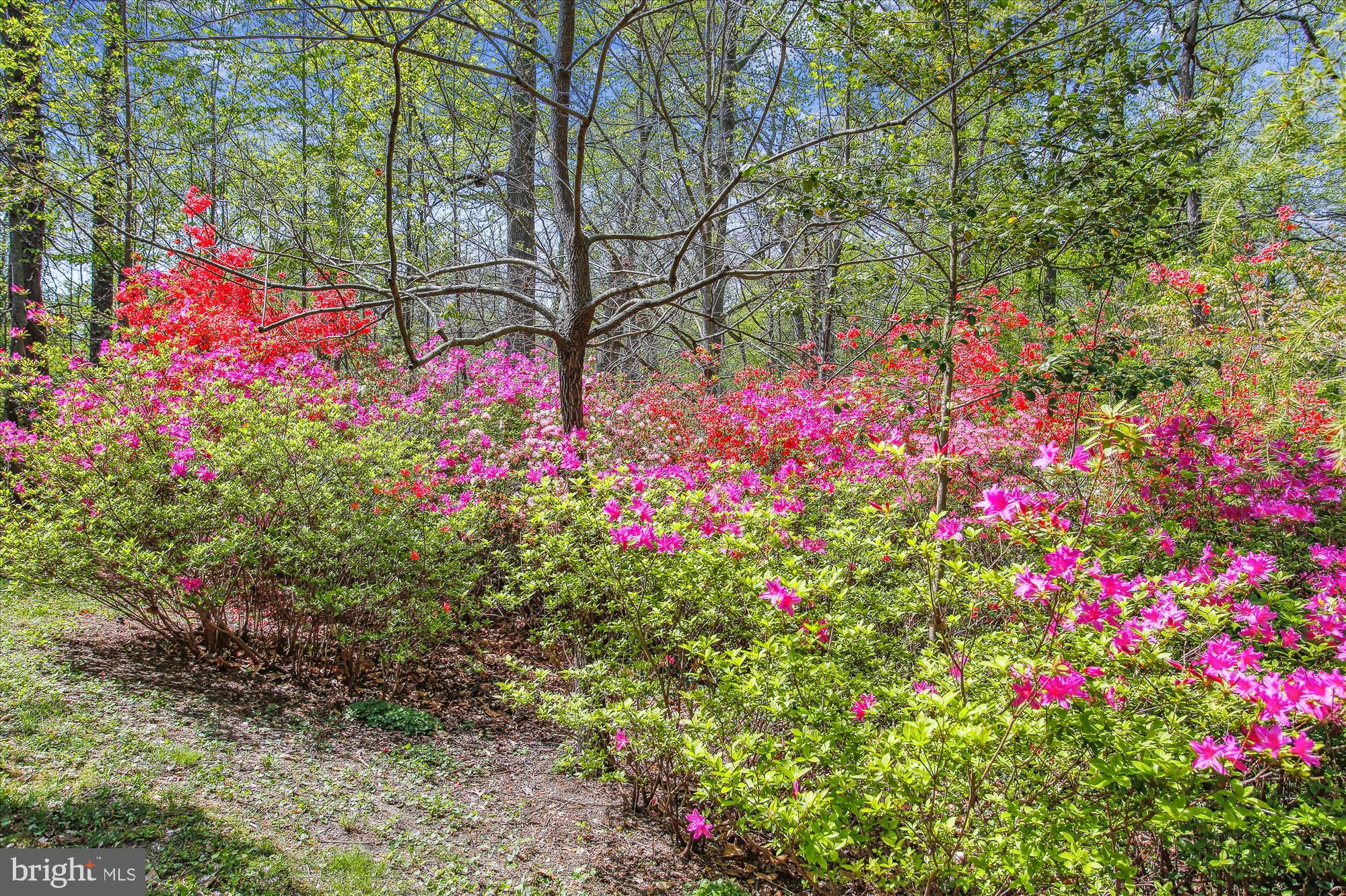 RICH E LAND - Residential