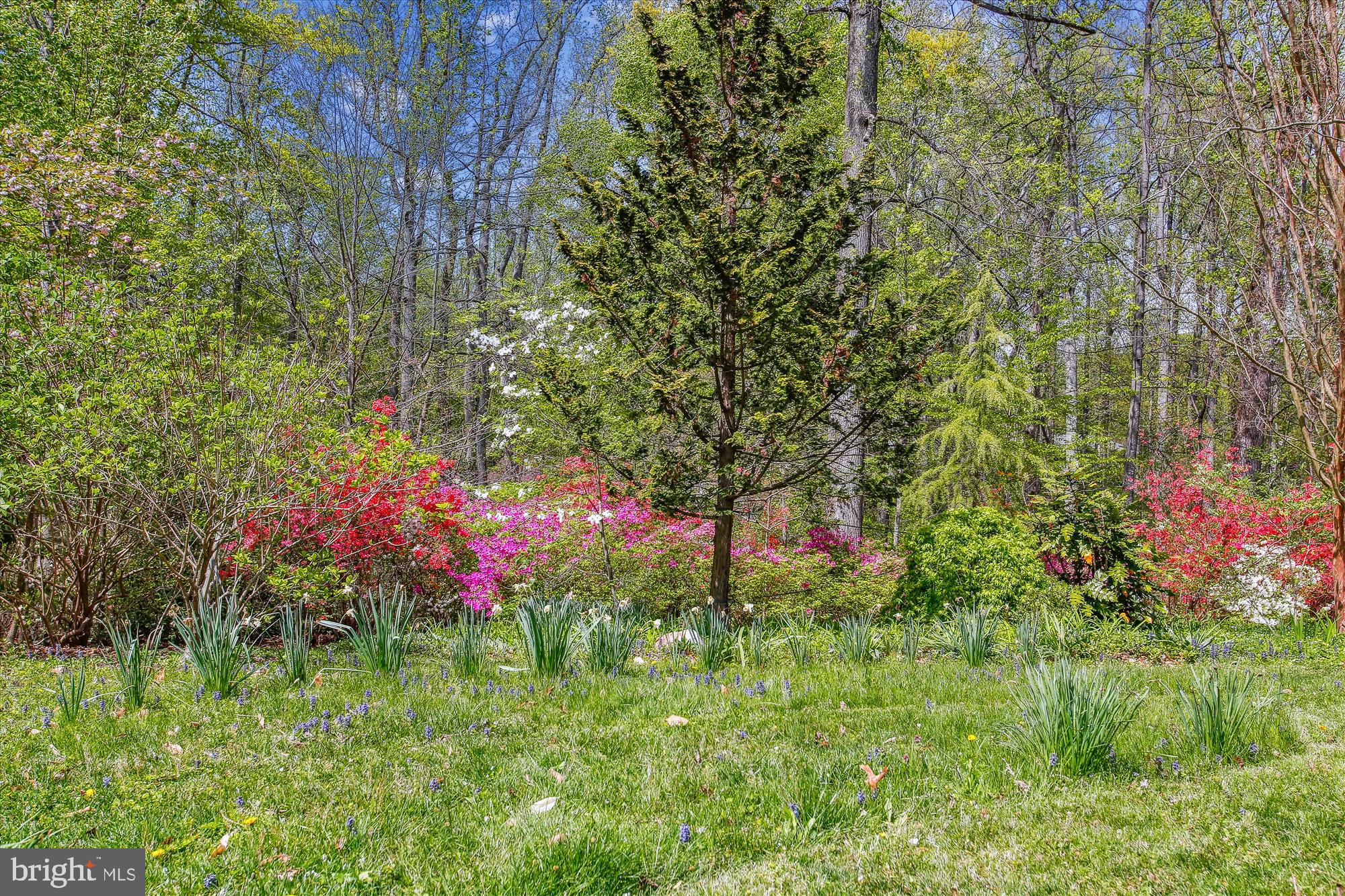 RICH E LAND - Residential