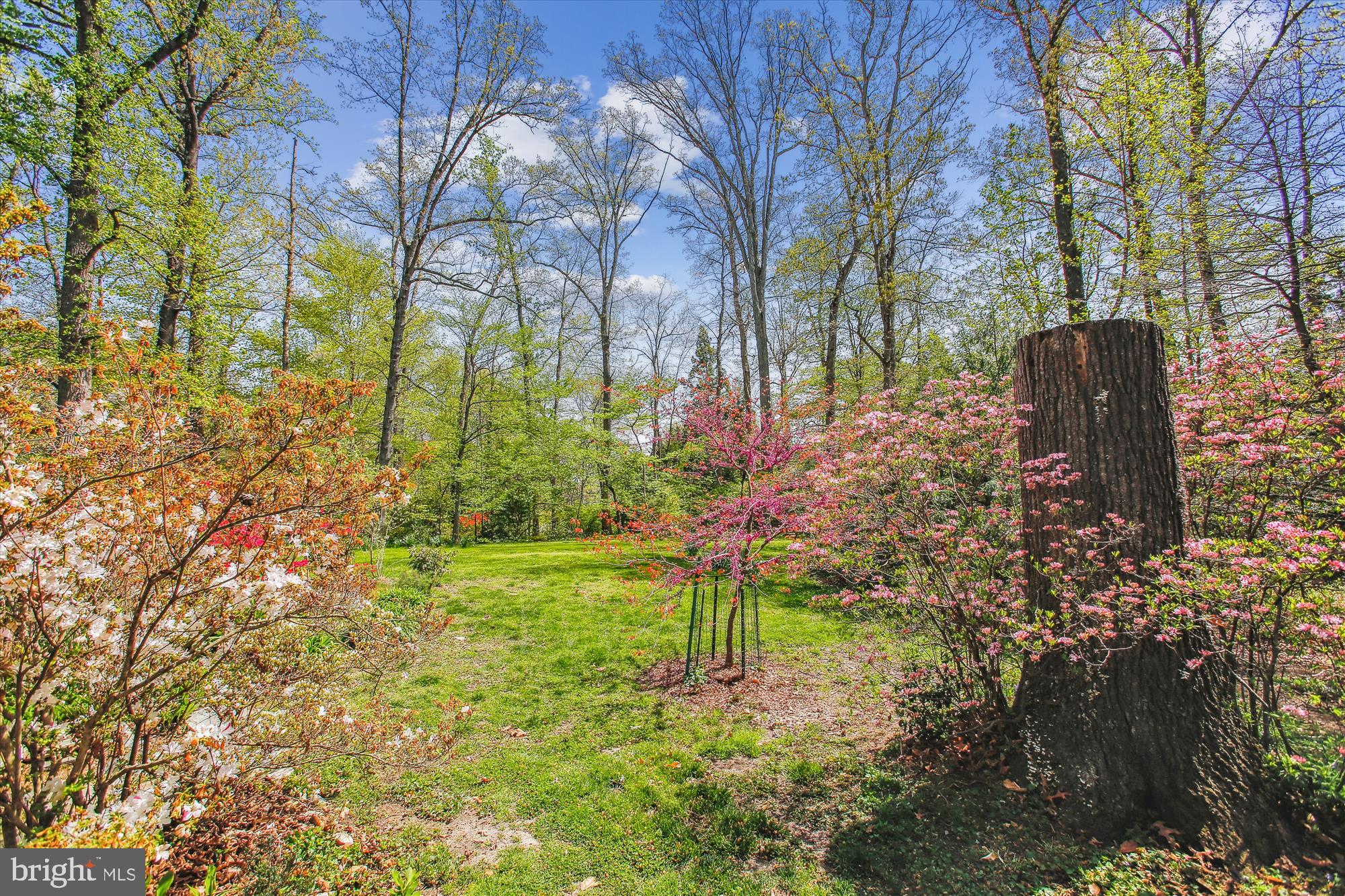 RICH E LAND - Residential