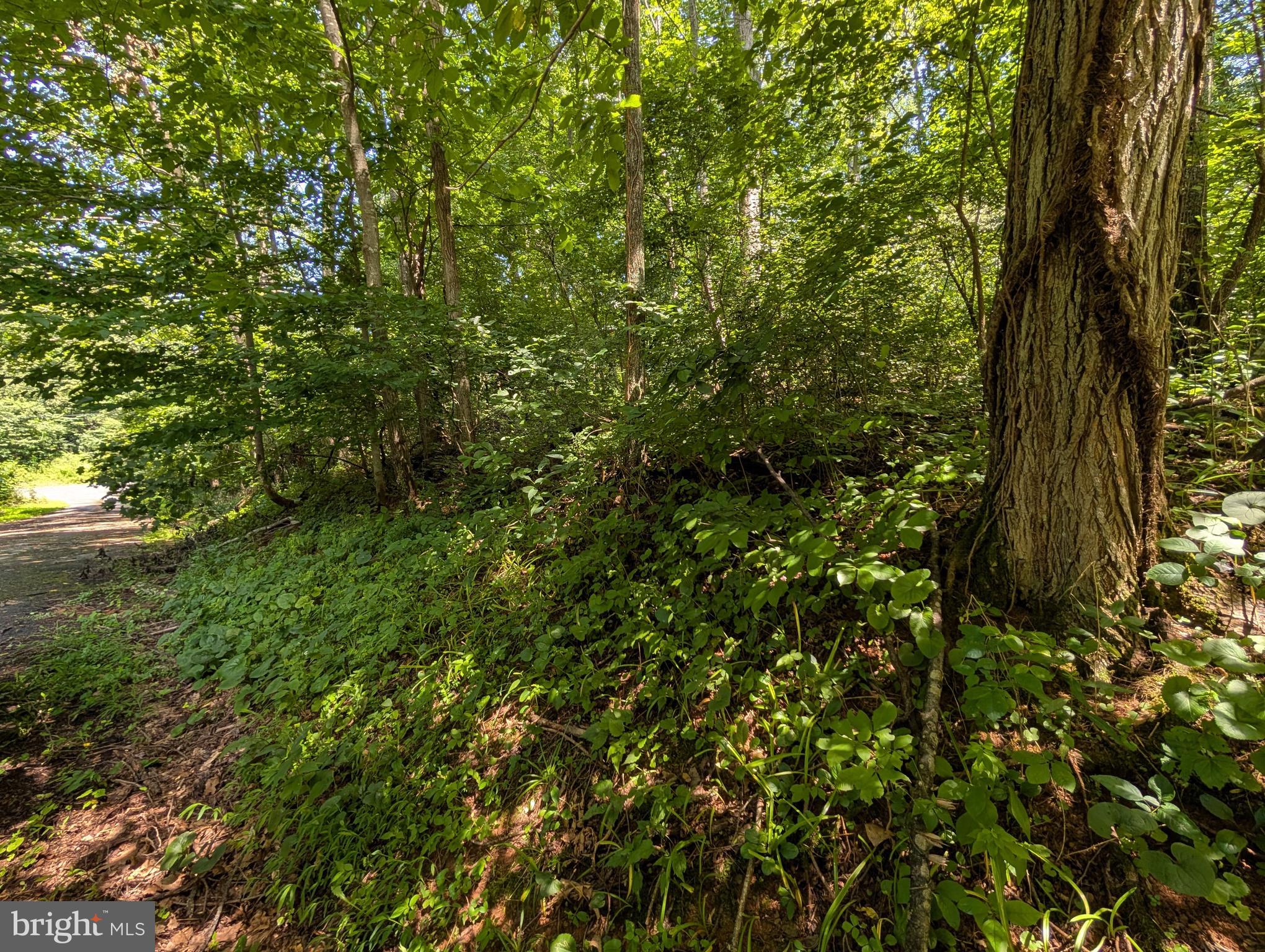 Lot 85-86 ORIOLE COURT