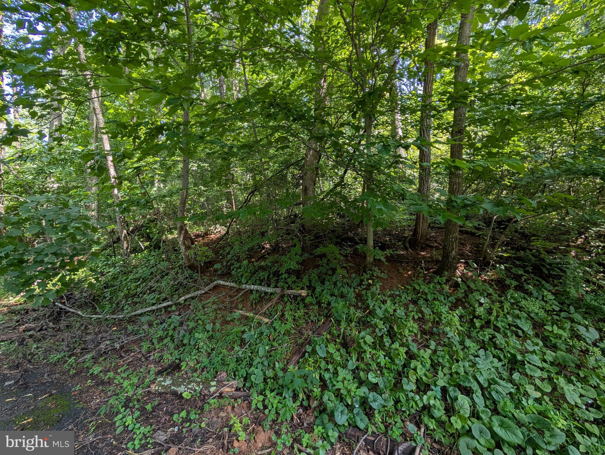 Lot 85-86 ORIOLE COURT