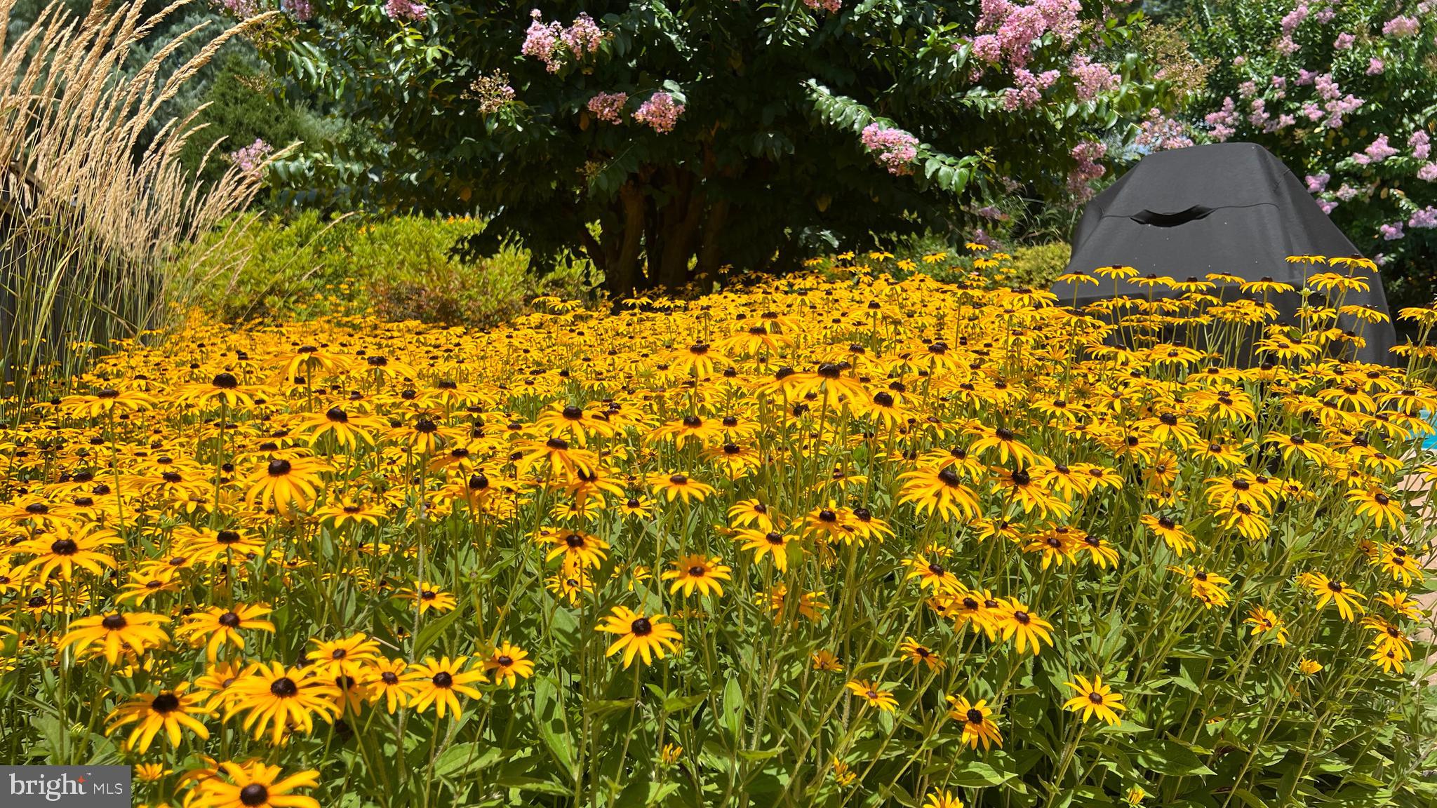 SHERLOCK HOLMES ESTATES - Residential