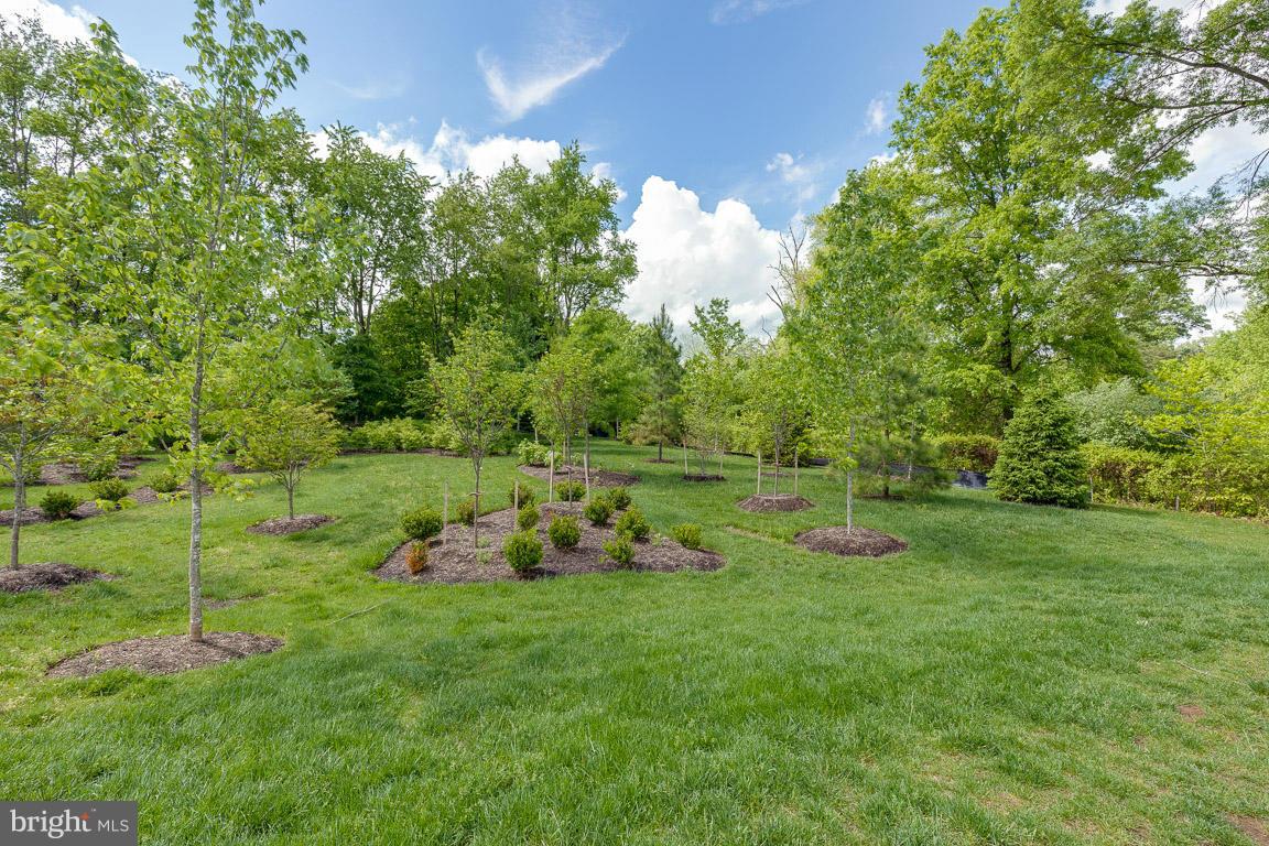 FALLS GROVE CONDOMINIUM - Residential