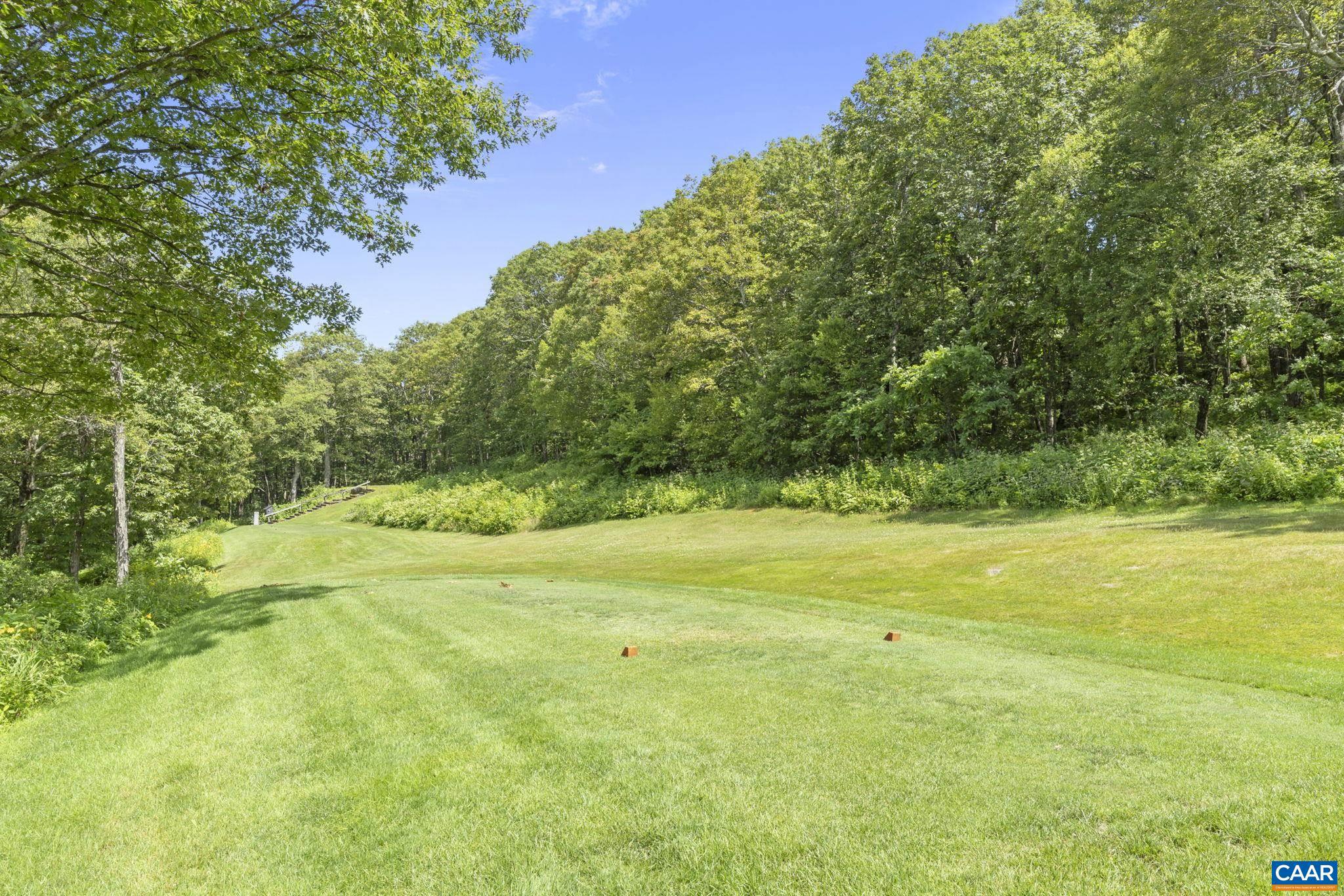 WINTERGREEN RESORT - Residential