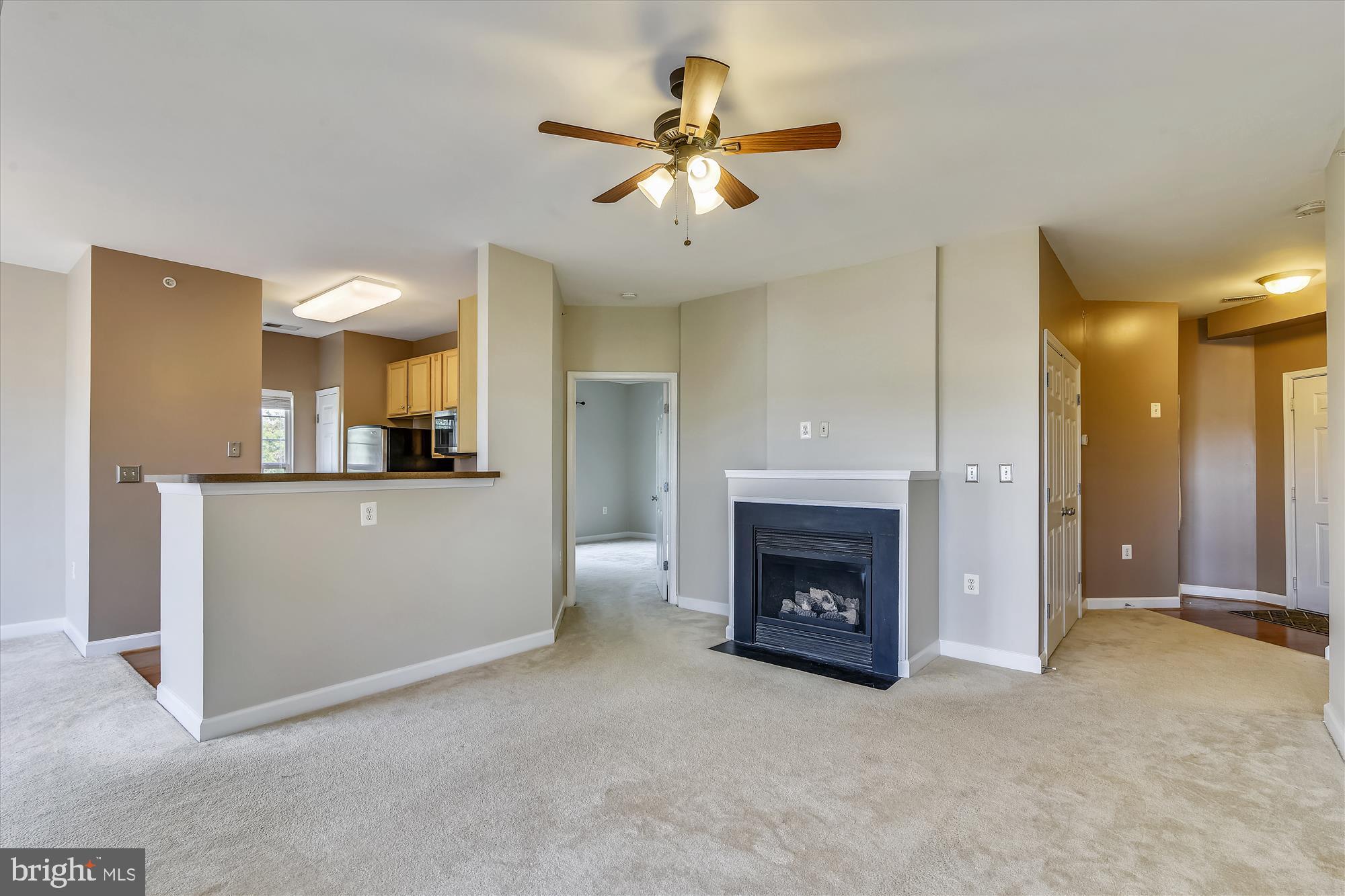 22611 BLUE ELDER TERRACE 302