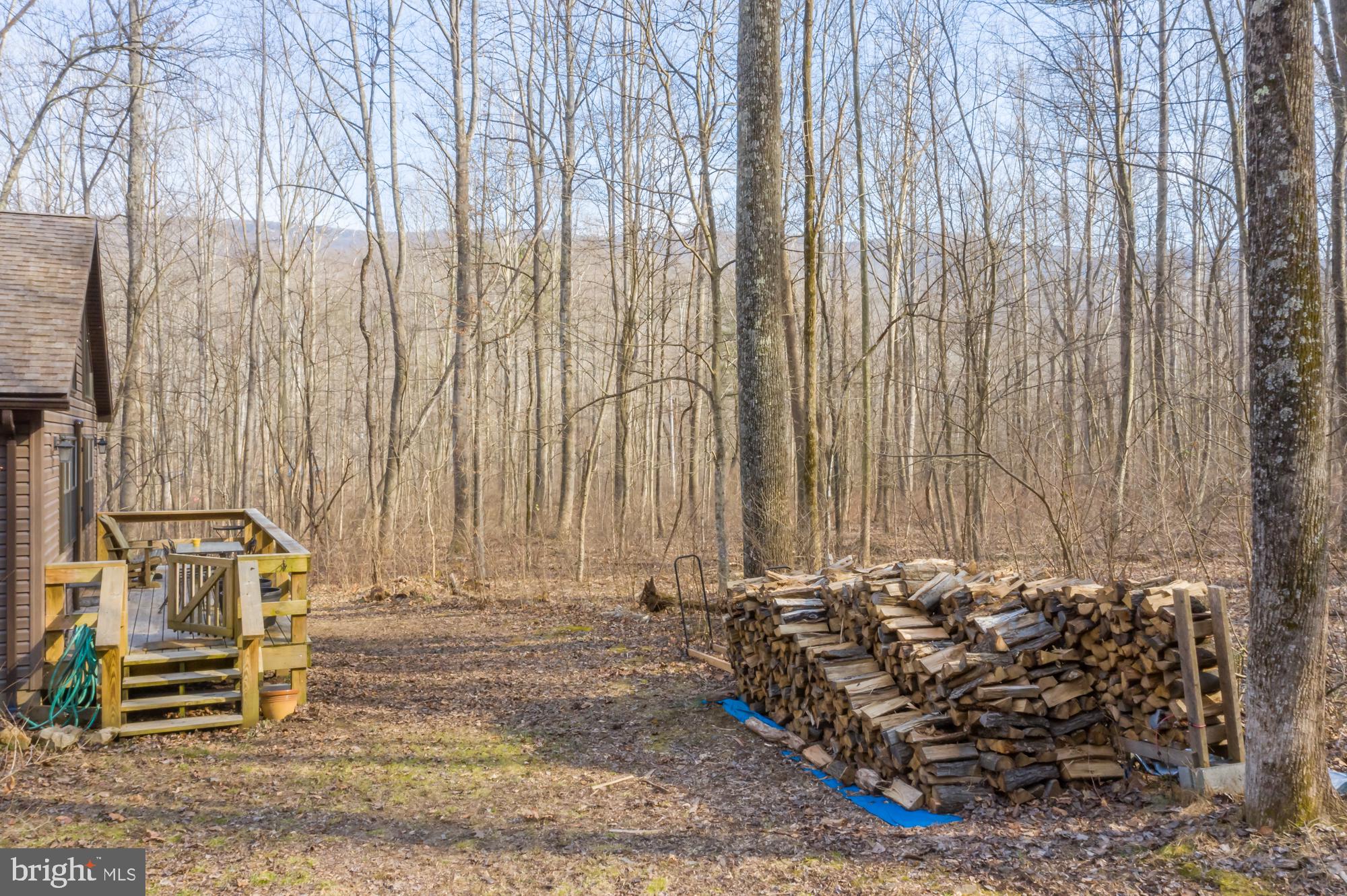 CACAPON RETREAT - Residential