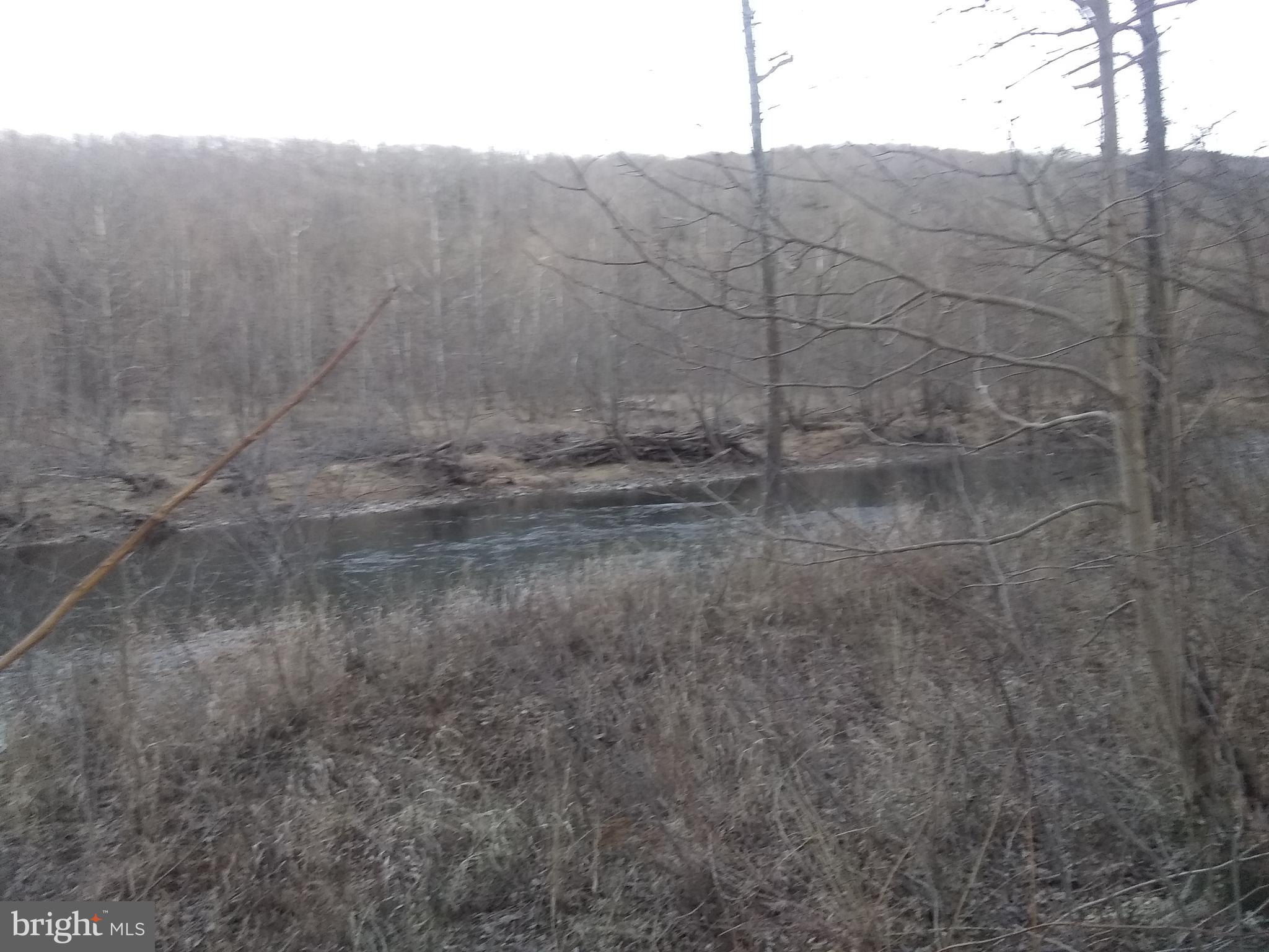 CACAPON RETREAT - Residential