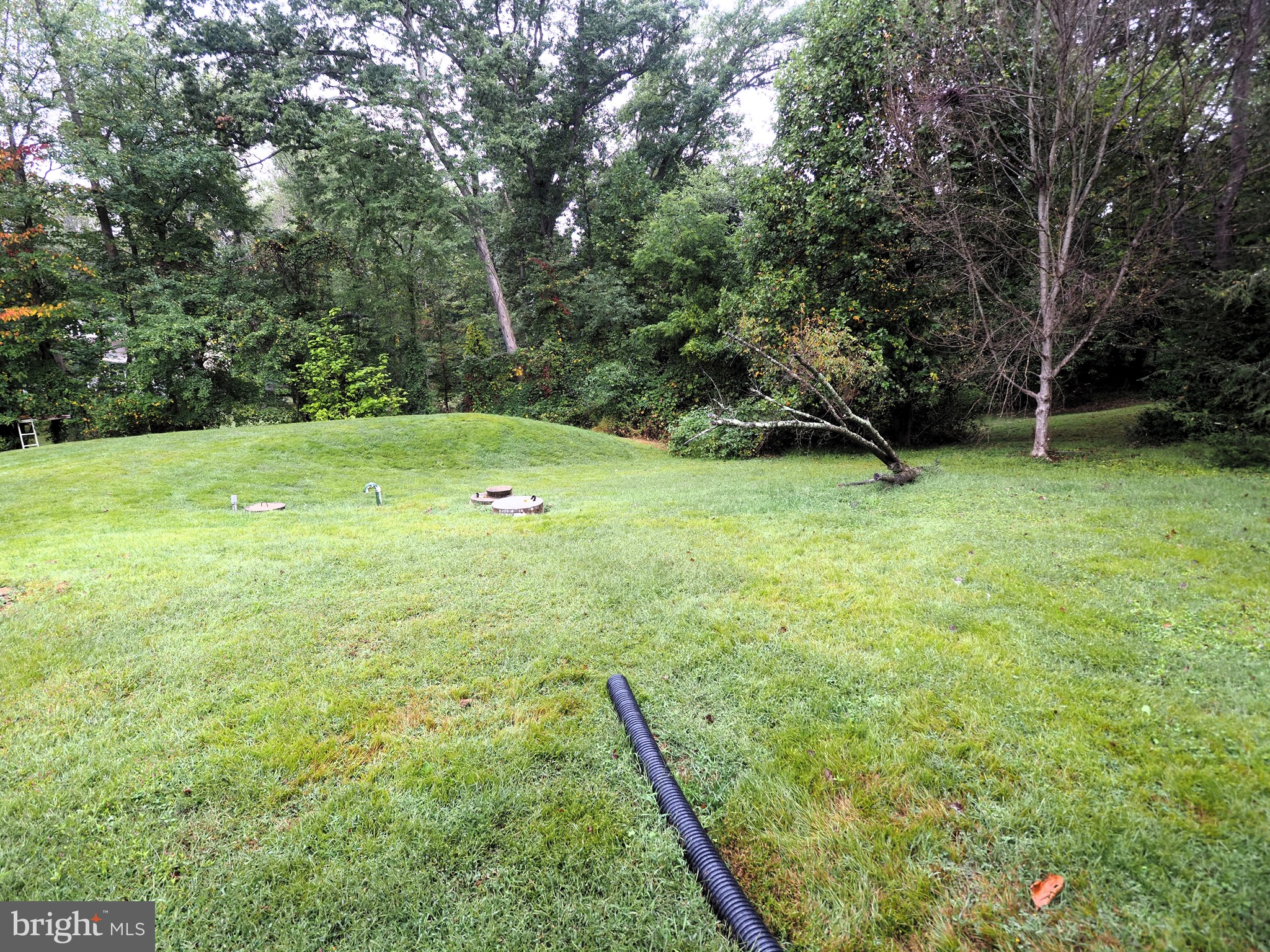 TOP OF THE WEDGE - Residential