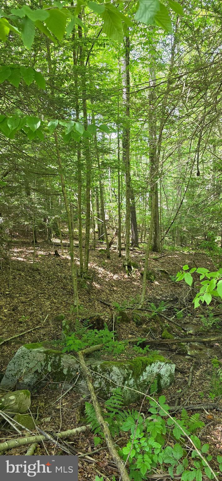 MAPLE DEL LANE
