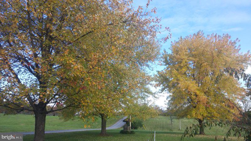 PUNKIN RIDGE ESTATES - Residential