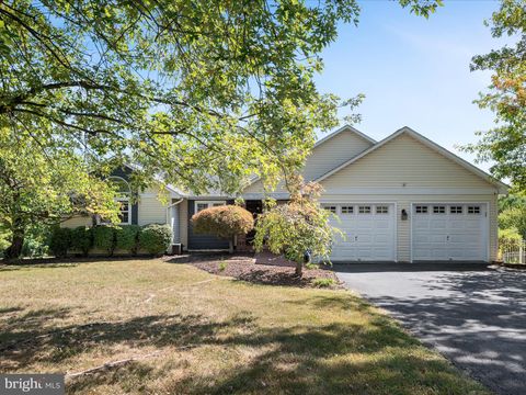 252 PUNKIN RIDGE DRIVE CLEAR BROOK VA 22624