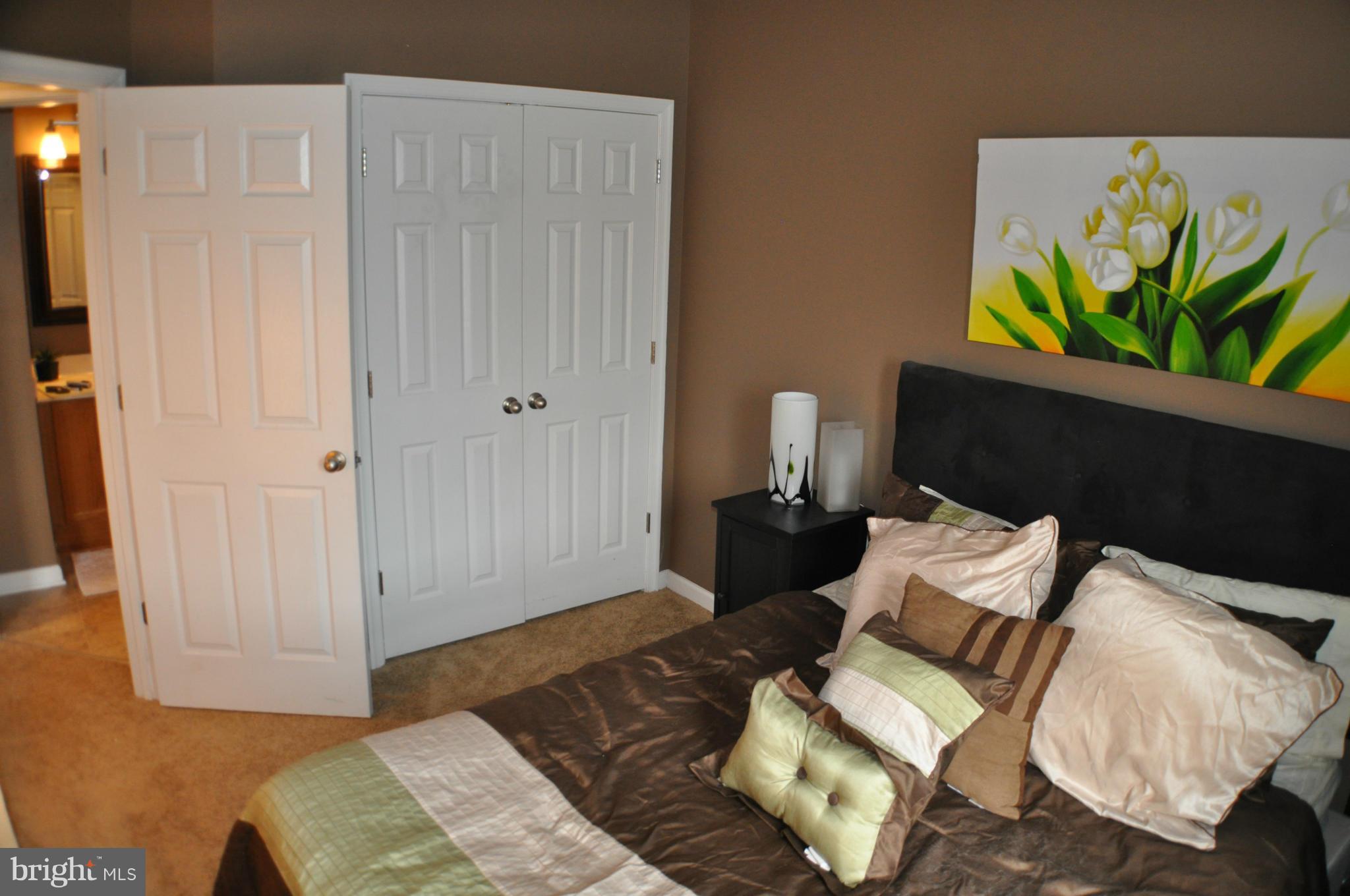 FAIRWAYS AT STONEBRIDGE - Residential