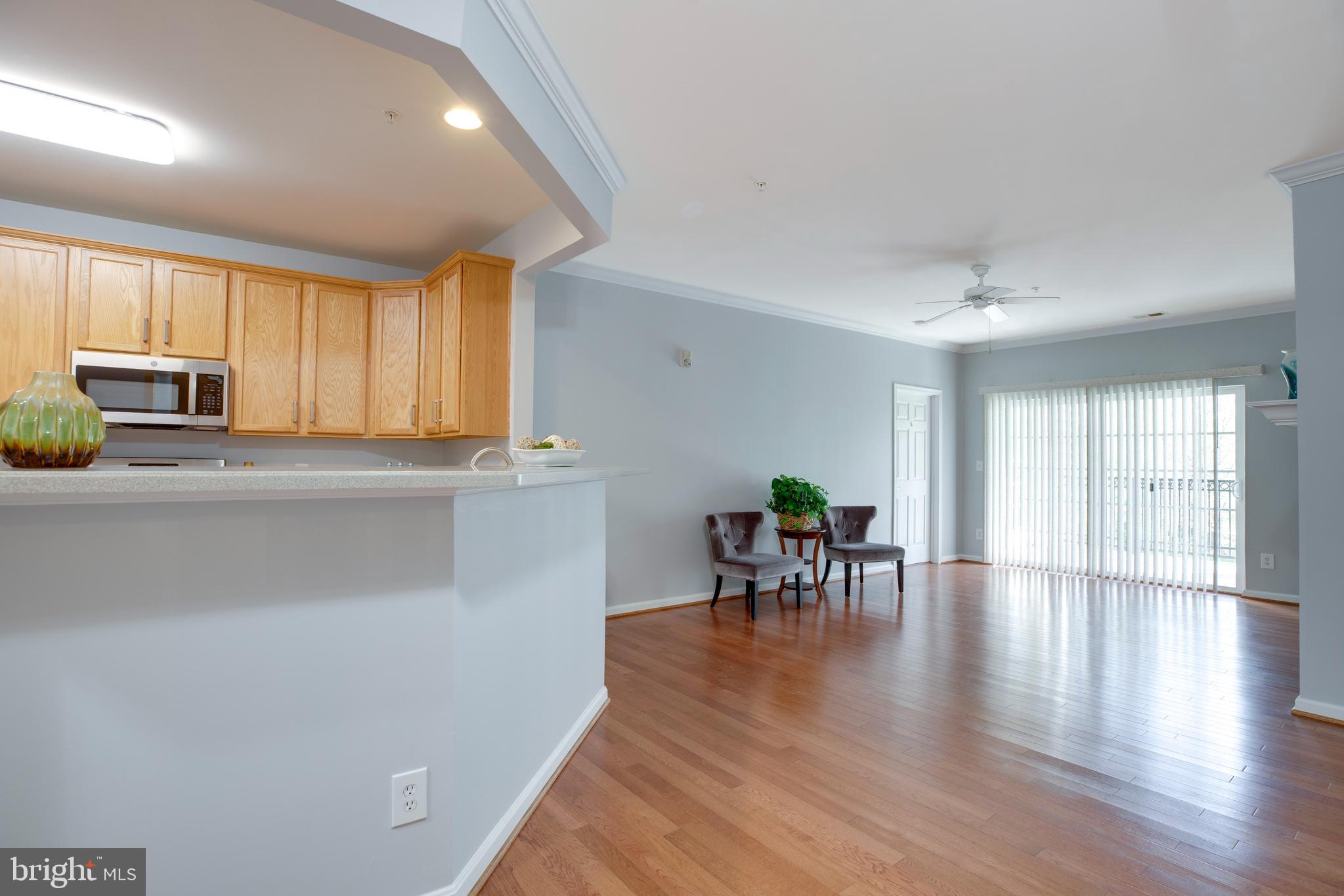 CENTRAL PARKE AT LOWES ISLAND - Residential