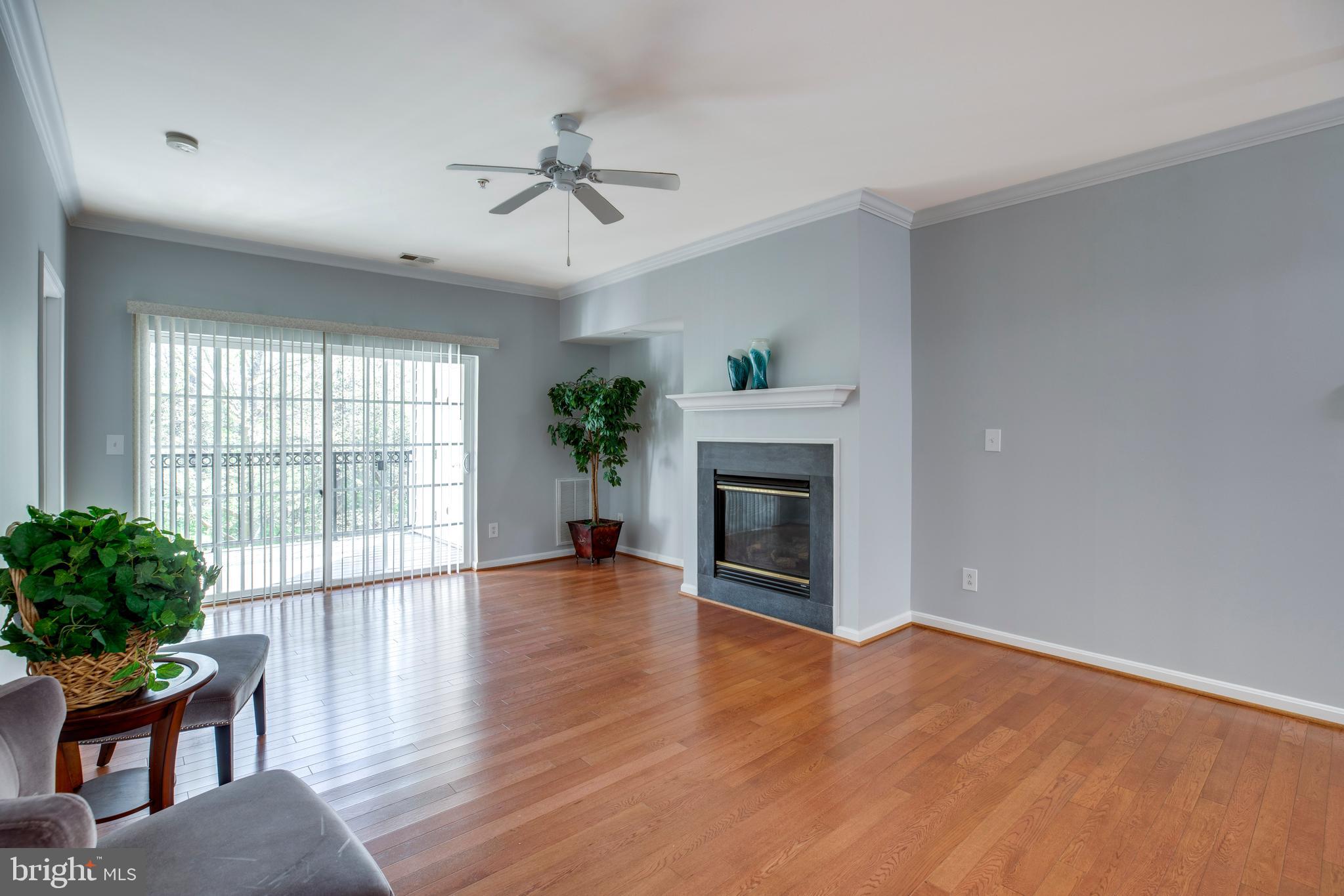 CENTRAL PARKE AT LOWES ISLAND - Residential