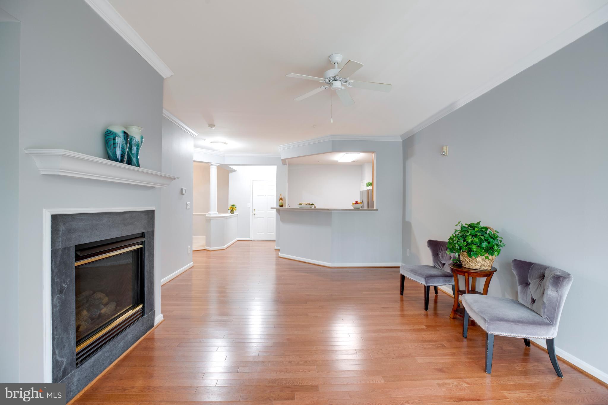 CENTRAL PARKE AT LOWES ISLAND - Residential