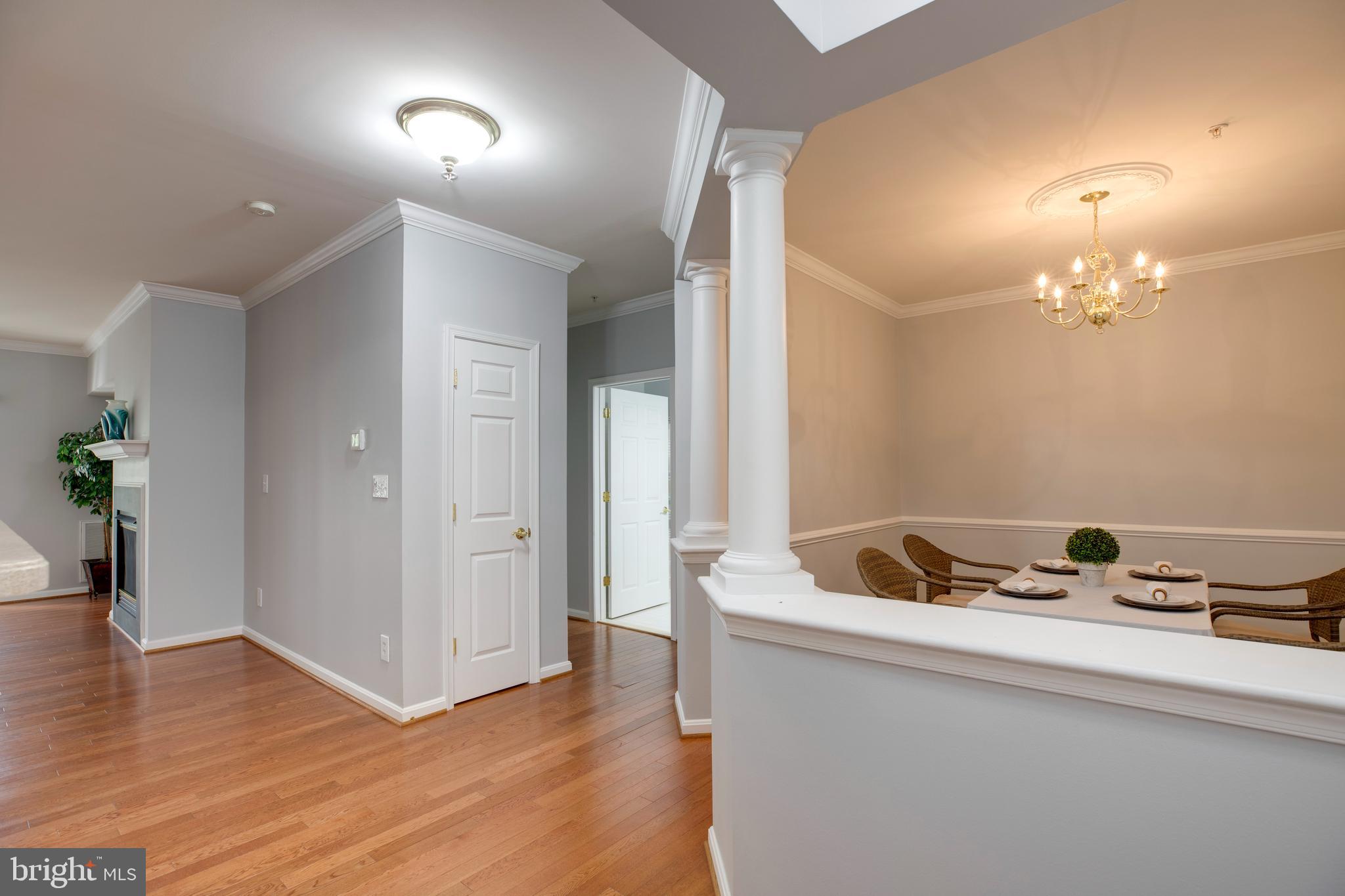 CENTRAL PARKE AT LOWES ISLAND - Residential