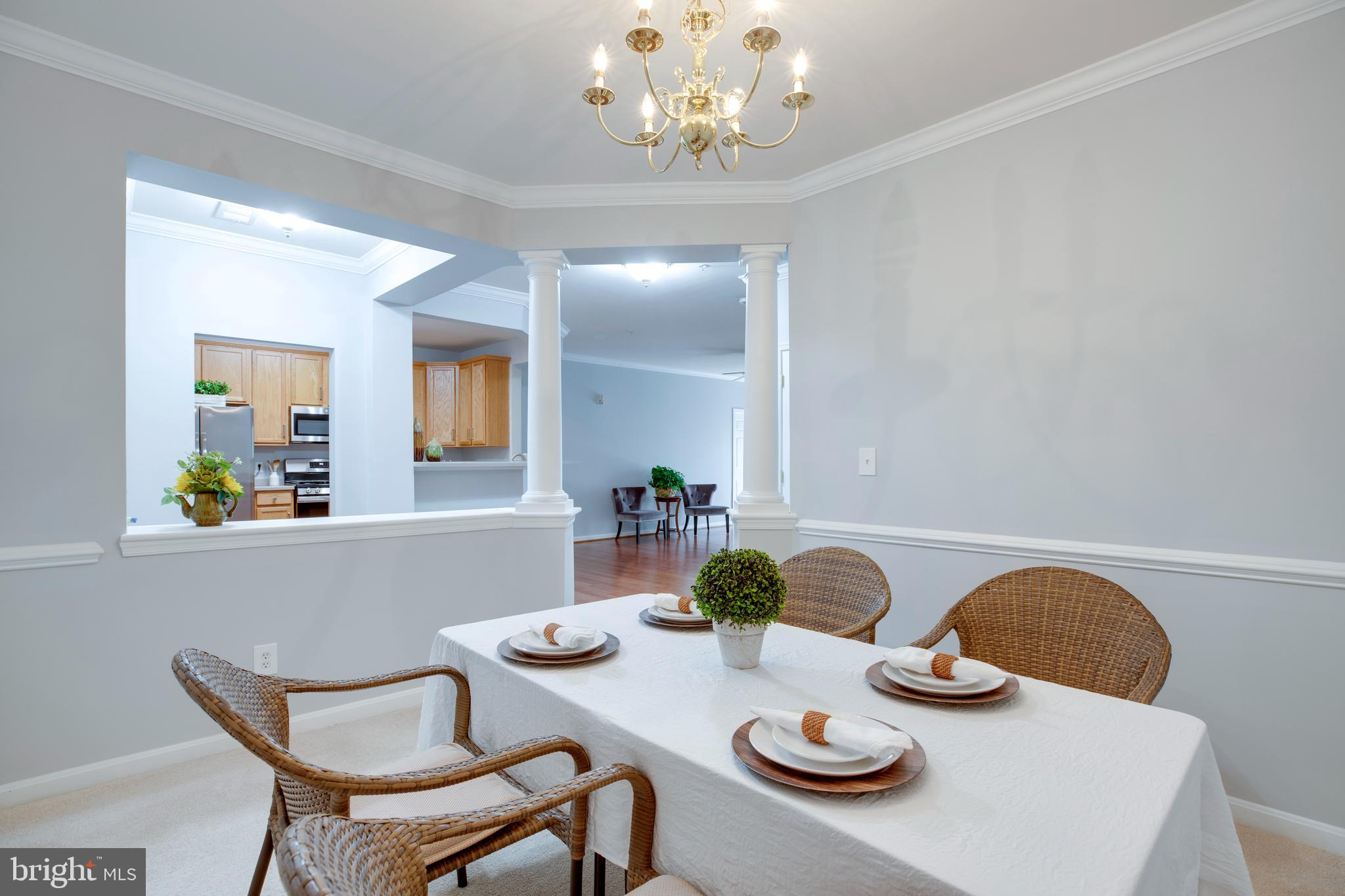 CENTRAL PARKE AT LOWES ISLAND - Residential