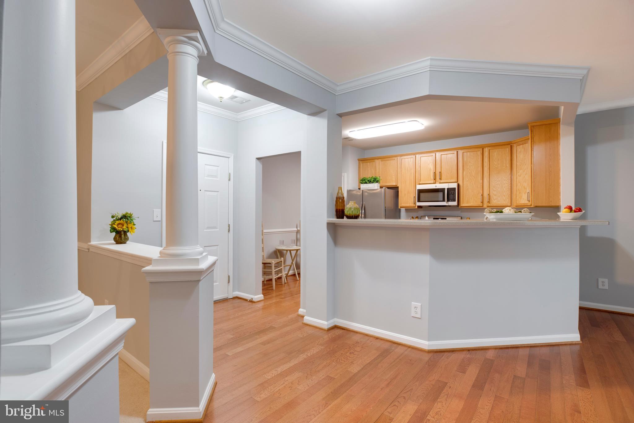 CENTRAL PARKE AT LOWES ISLAND - Residential