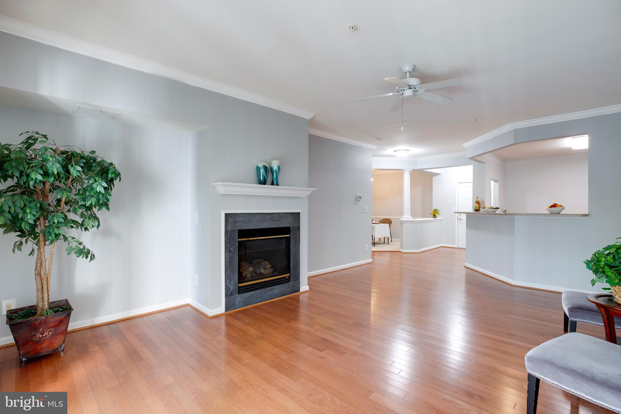 CENTRAL PARKE AT LOWES ISLAND - Residential