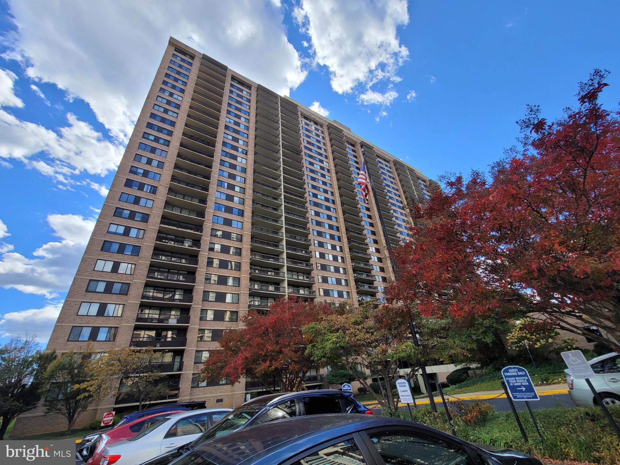 5501 SEMINARY ROAD 1107S