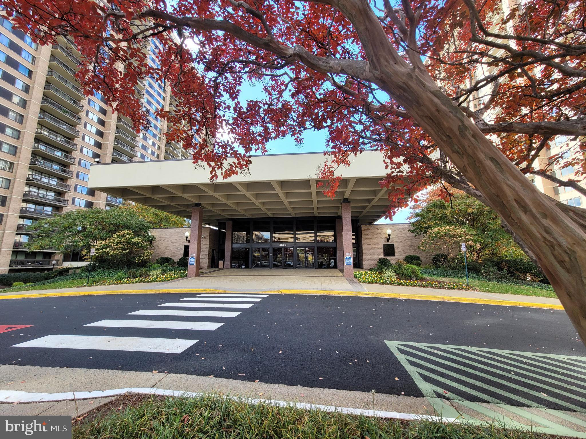 5501 SEMINARY ROAD 1107S