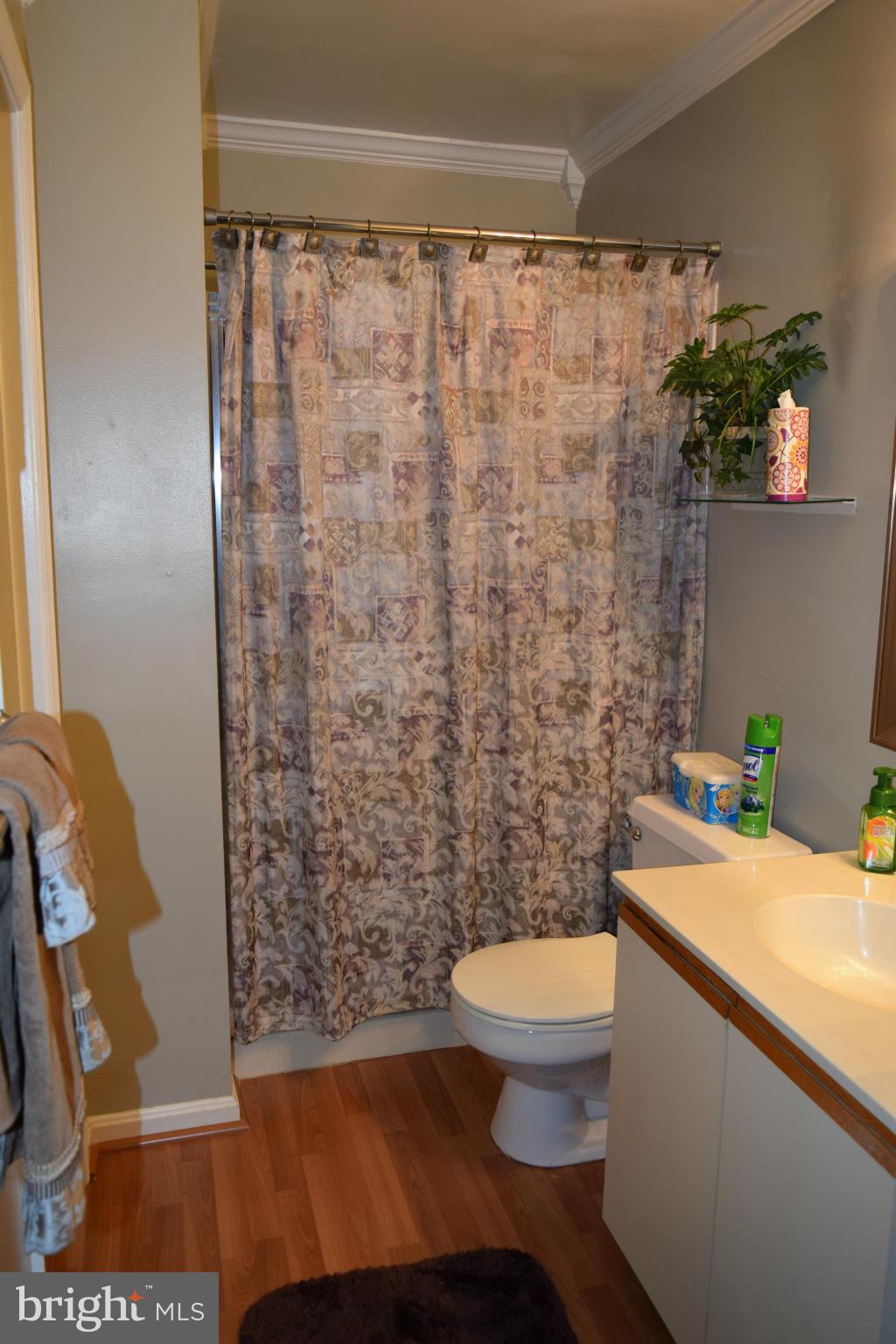 LAUREL LAKES - Residential