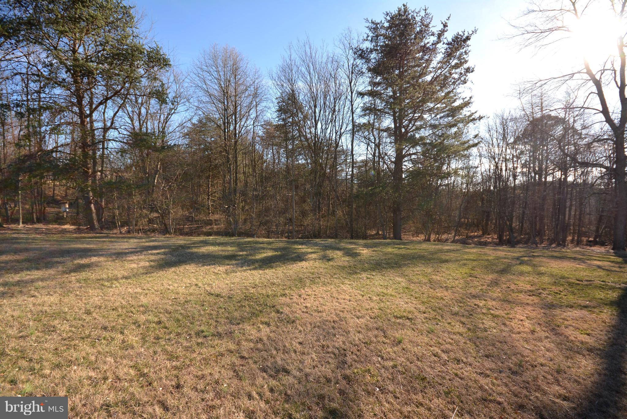 LAKE ISAAC ESTATES - Residential