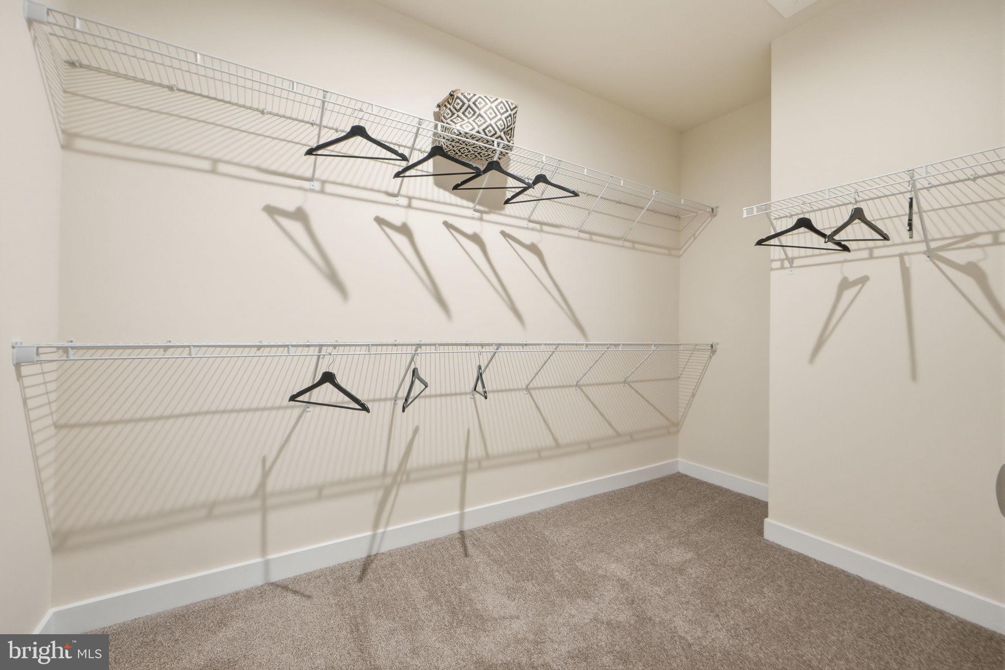 TIMOTHY BRANCH 55+ - Residential