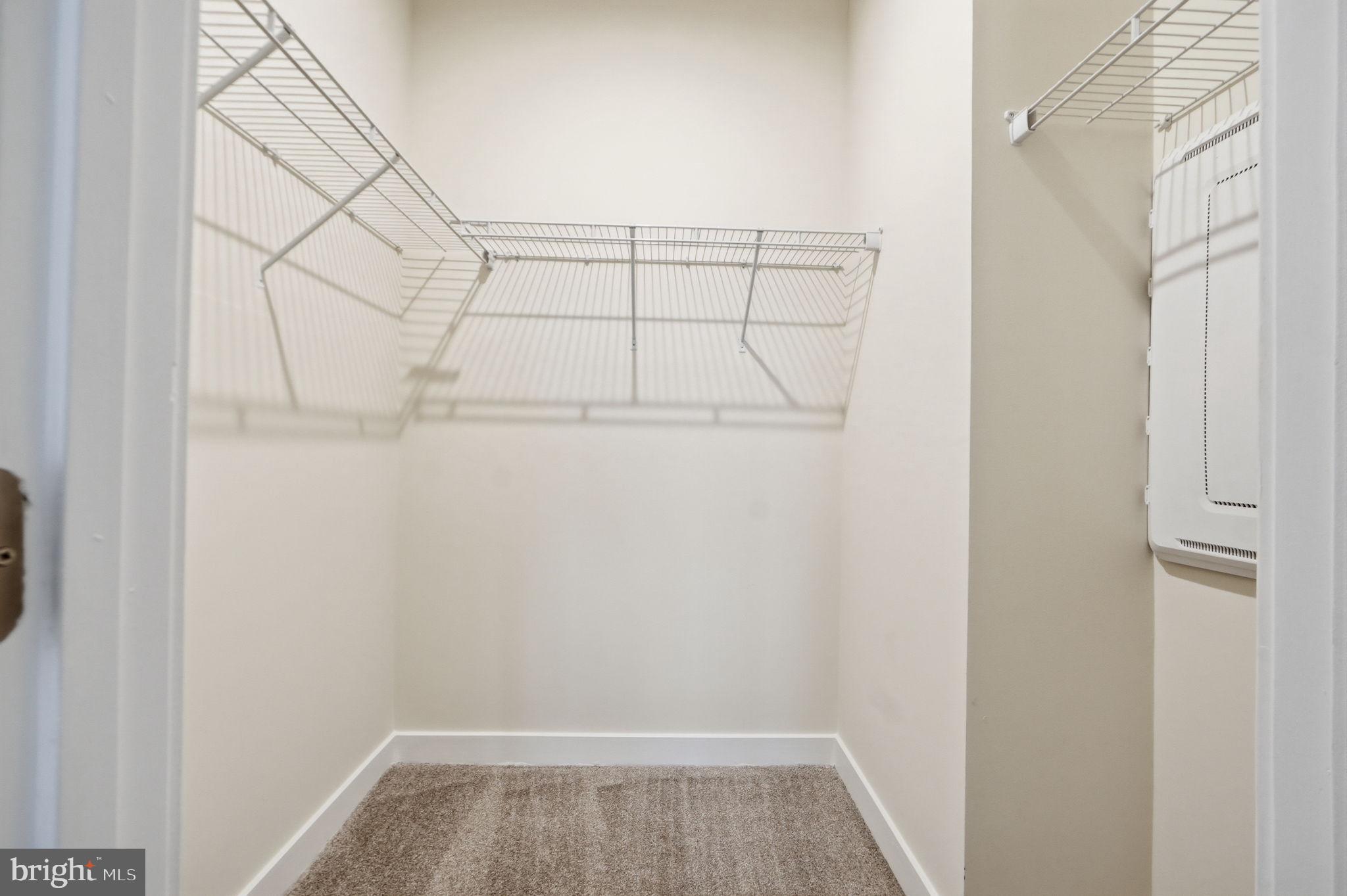 TIMOTHY BRANCH 55+ - Residential