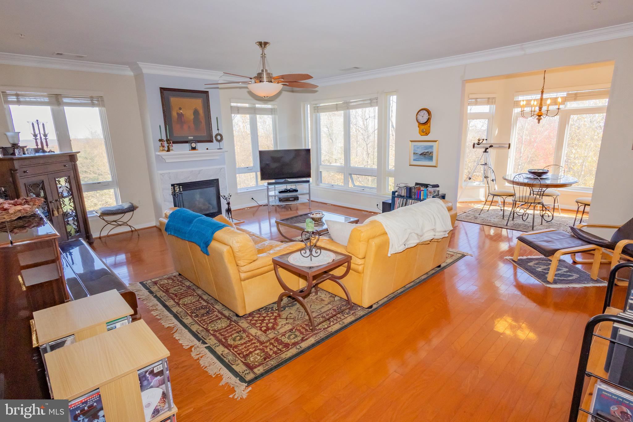 POTOMAC POINTE - Residential