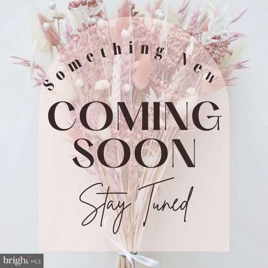 ***GOING ACTIVE 3/25/26*** Professional photos will be uploaded!
Welcome to 20 Downing Street in Hyde Park, Easton—your perfect 55+ oasis! This 2-bedroom, 2-full-bath home offers a handicap-accessible walk-in shower in one bath and a shower/tub combo in the other. The renovated kitchen boasts high-end cabinets, recent countertops, and an open-concept flow into the living and dining area. Sliding doors from the dining room lead to a charming patio, and there’s a shed in the rear yard for ample storage. Upgrades include windows and sliding door (5 years old), a 2-year-old HVAC, 8-year-old roof, all-electric appliances, and a 2-year-young hot water heater. Enjoy the in-ground outdoor pool and clubhouse events like bingo. Ground rent is $711.17/month, covering water, sewer, property taxes, and snow removal from main roads. Park approval is required—applications available at the office. Don’t miss out—this is the one you’ve been waiting for!