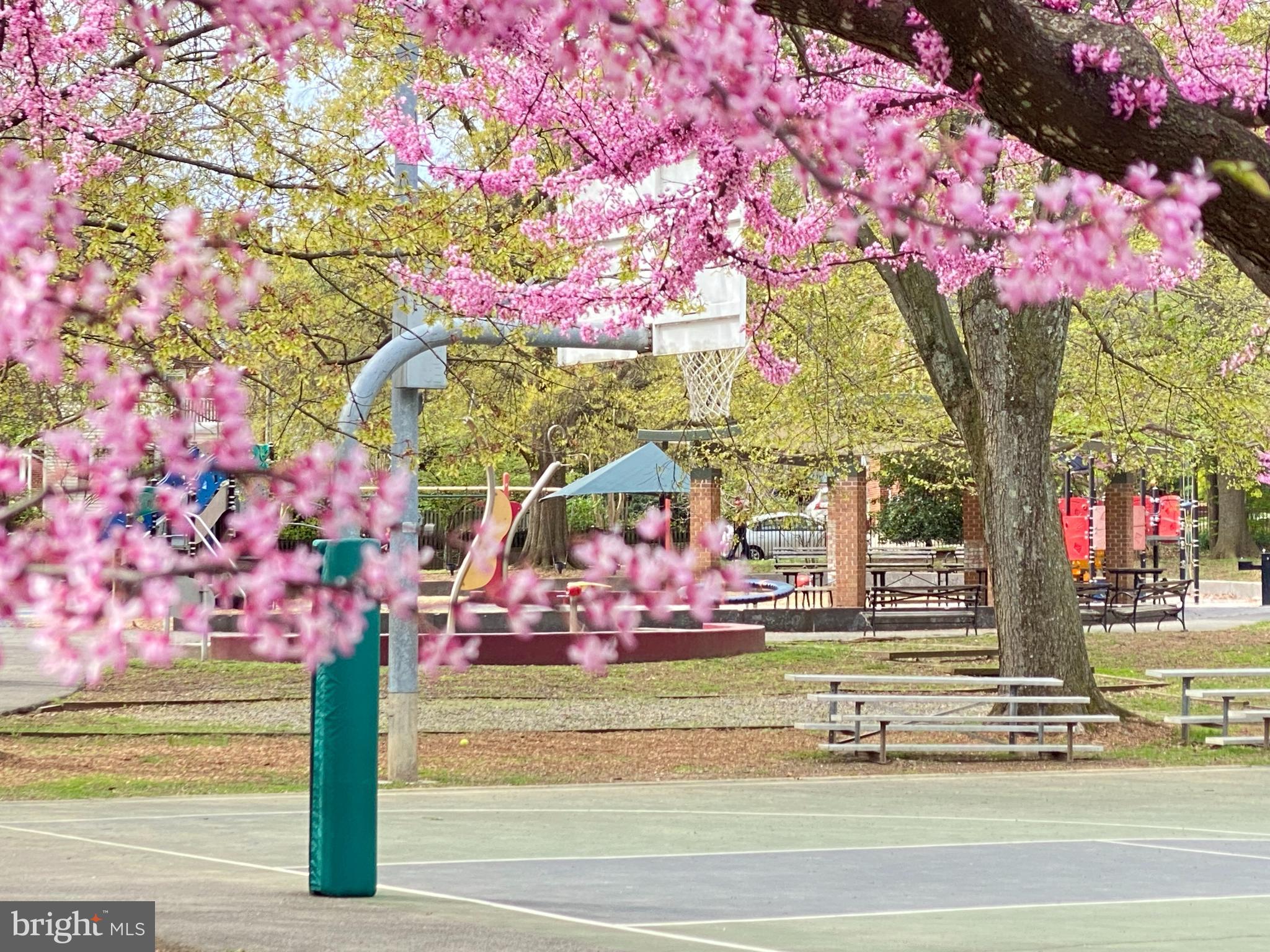 LYON VILLAGE - Residential